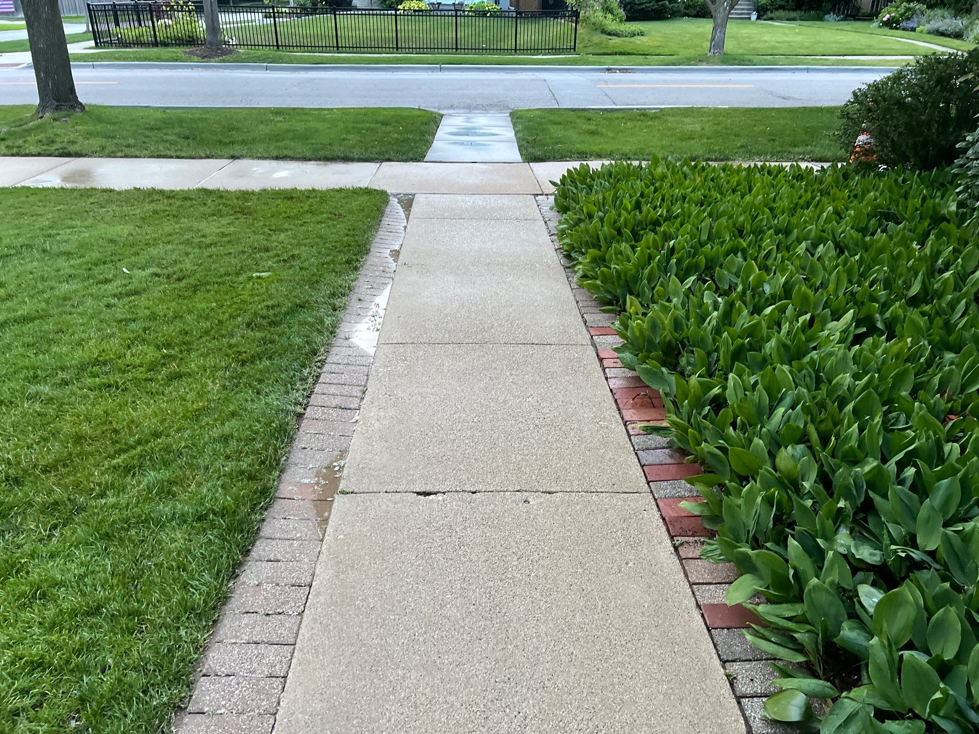 concrete cleaning using Algaecide, soft wash soap by Northern Power Washing LLC.