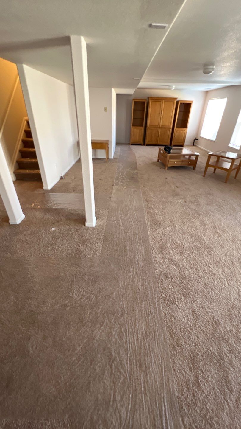 Mold Damage by Accountable Home Services