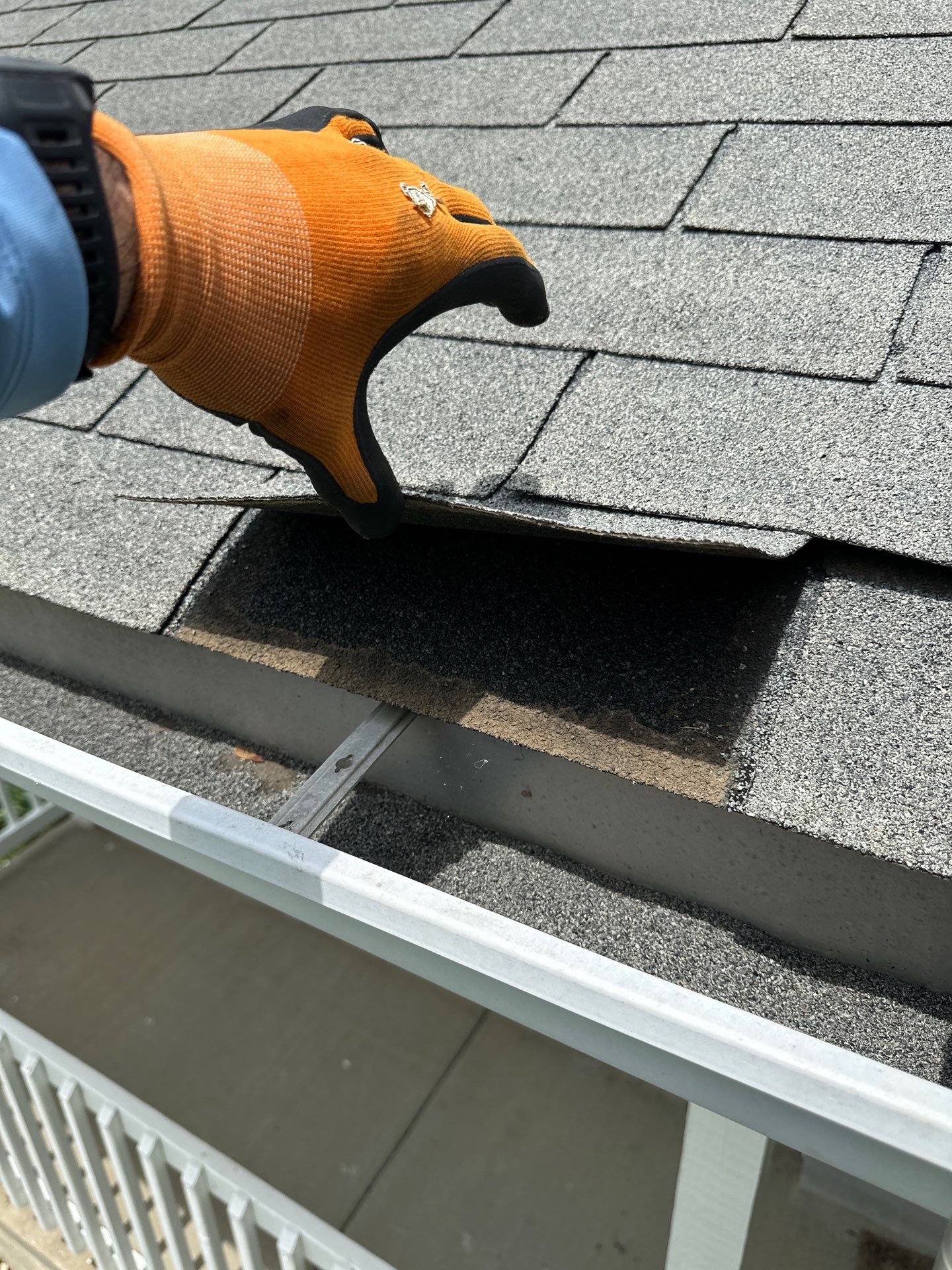 Solid Hail Damage - 3 Tab by Paragon Roofing