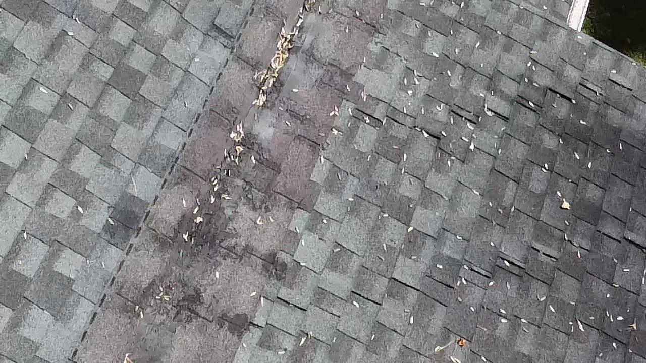 Project in Chesterfield by Roof Maxx of Midlothian