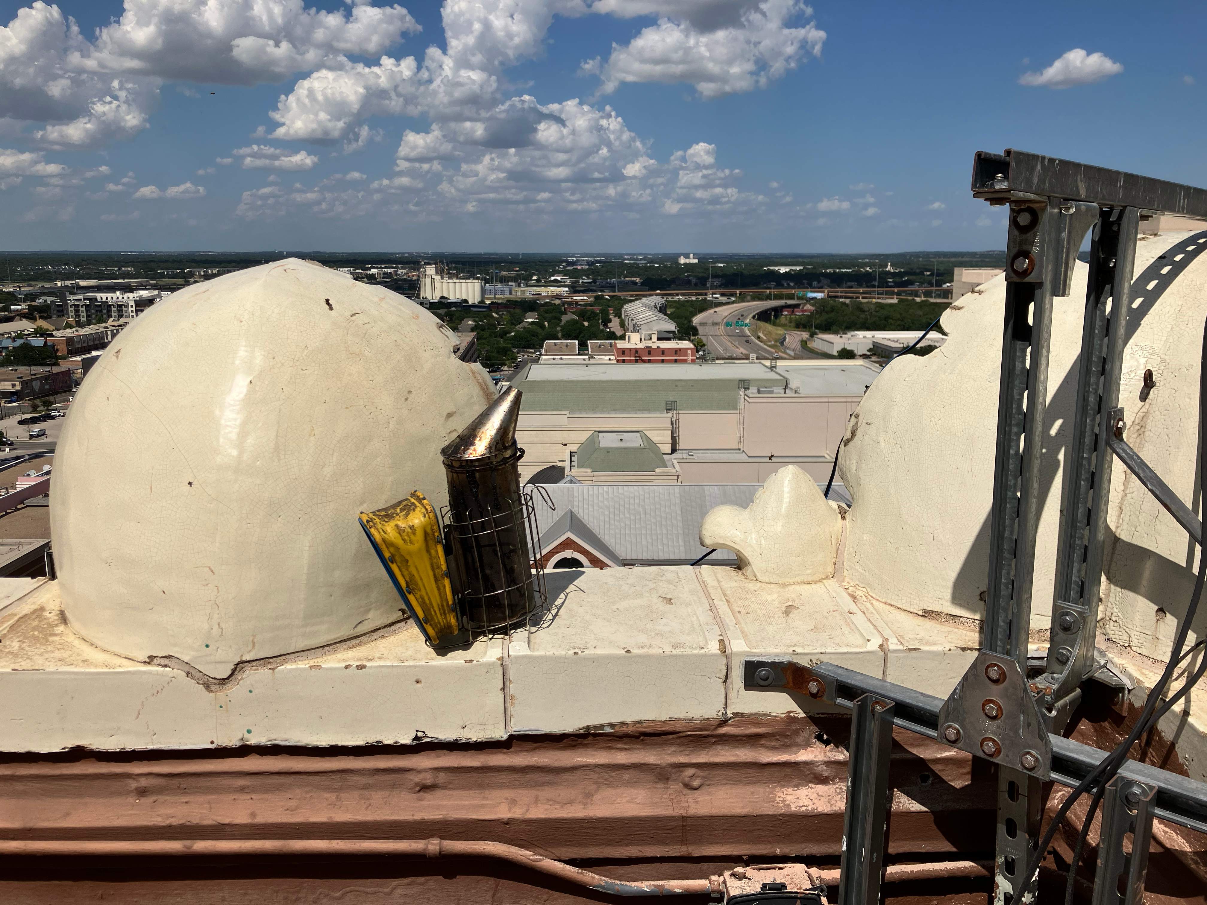 Downtown Highrise by Rockwall Honey Bee Company