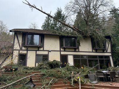 Emergency Tree Removal in Normandy Park – Storm-Damaged Tree on Home (Nov 2024)