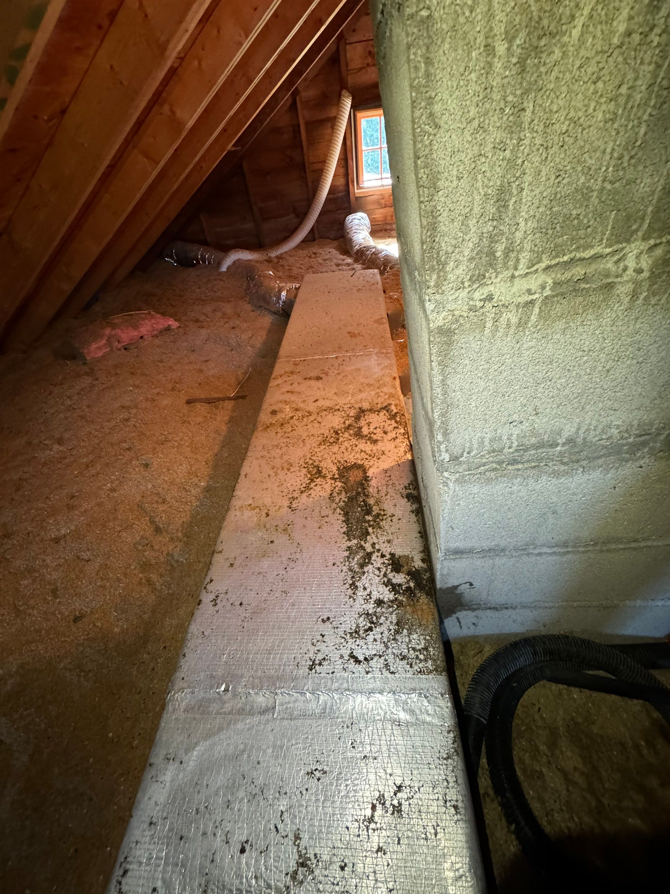 Mold Remediation (Basement) using Home Guarantee by Home Guarantee, LLC