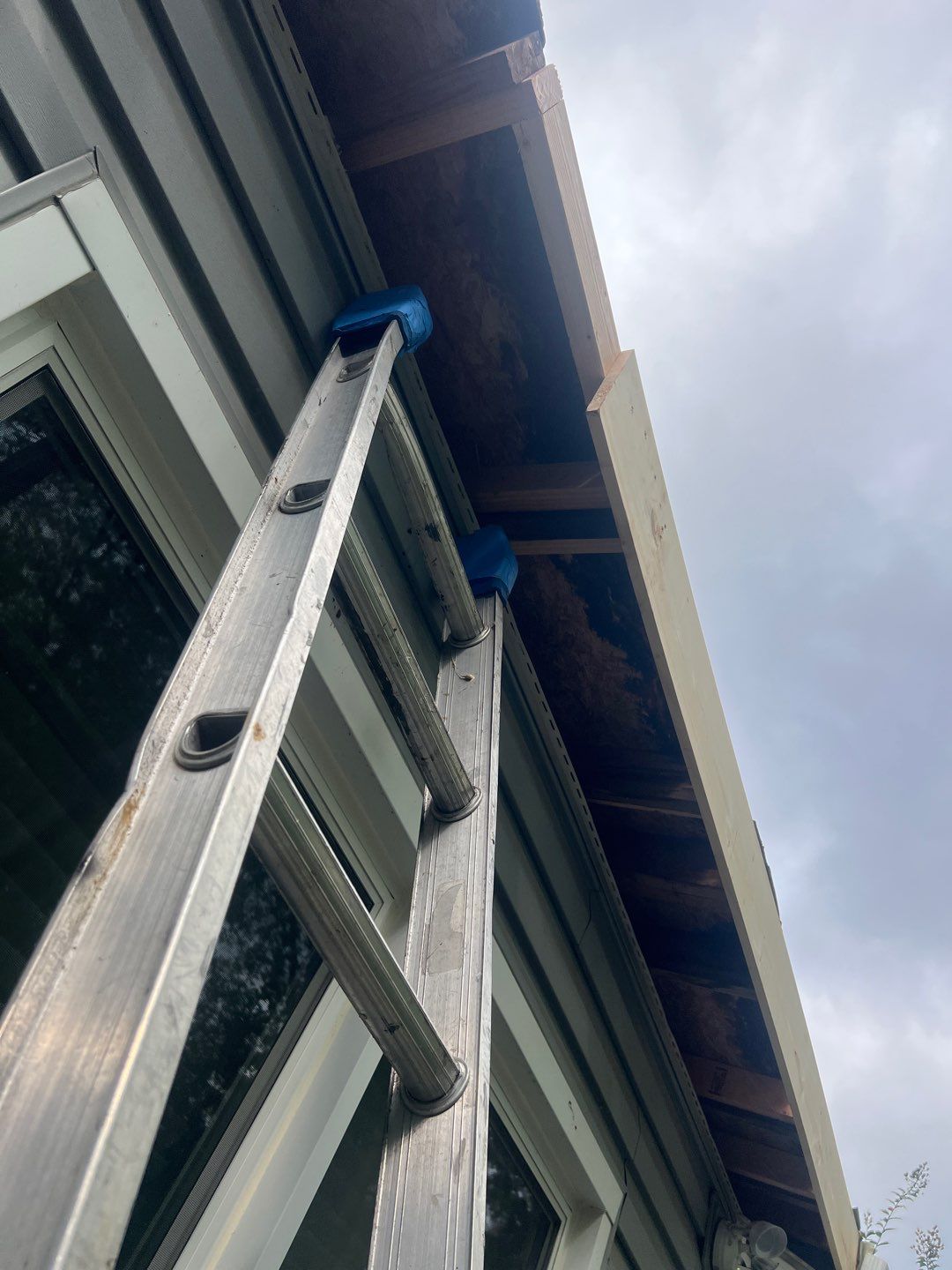 Alexandria: Residential Flat Roof Replacement with MuleHide TPO by RM Banning, Inc.