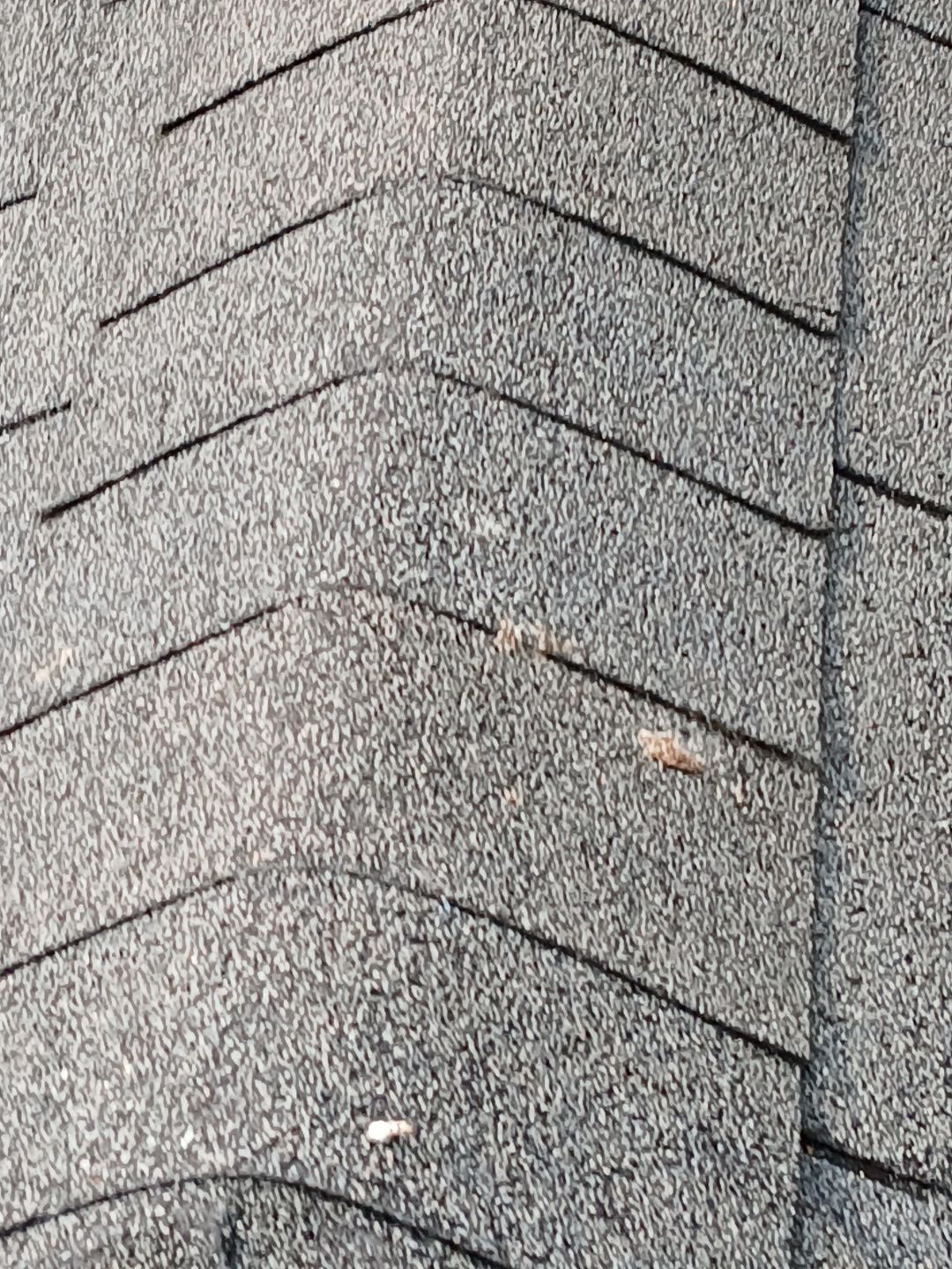Residential Roofing Repair using Owen's Corning Duration (Lifetime) Shingles by Roof Repair Company