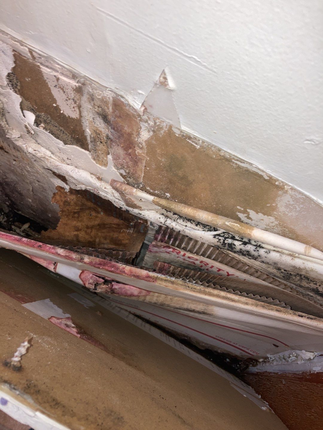 Water Damage in Bathroom by Accountable Home Services