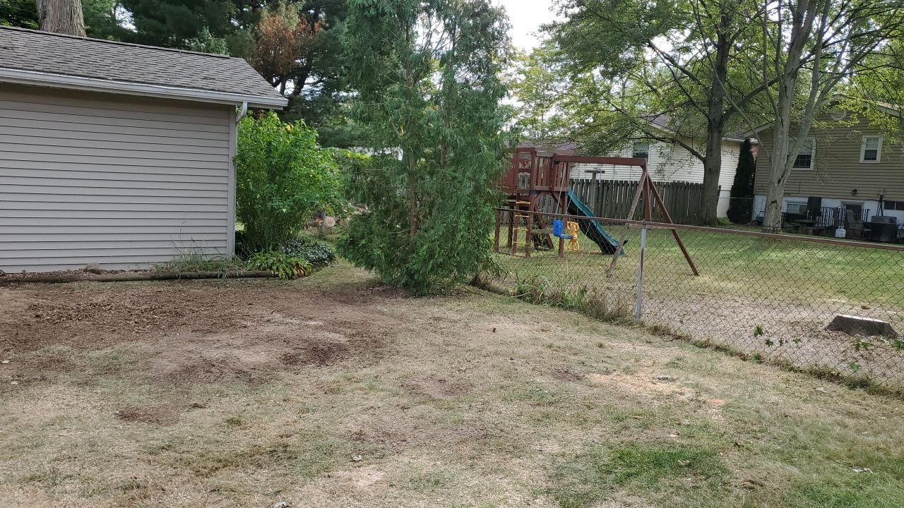 Oak Tree Removal by Mike Jones & Sons Tree Service LLC 