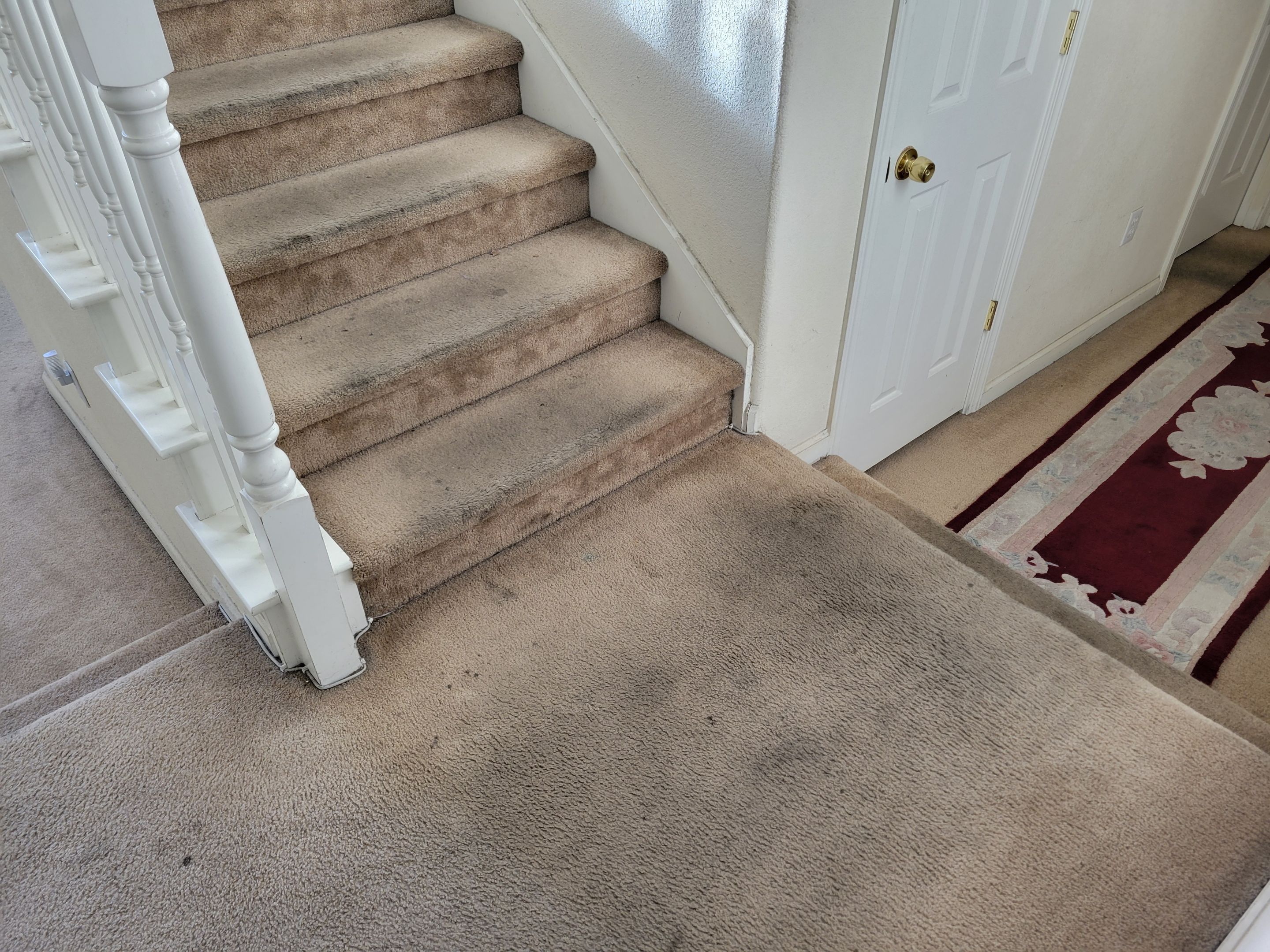 Cleaning Heavily Soiled Stairs and Entryway by Ardent Carpet Restore LLC