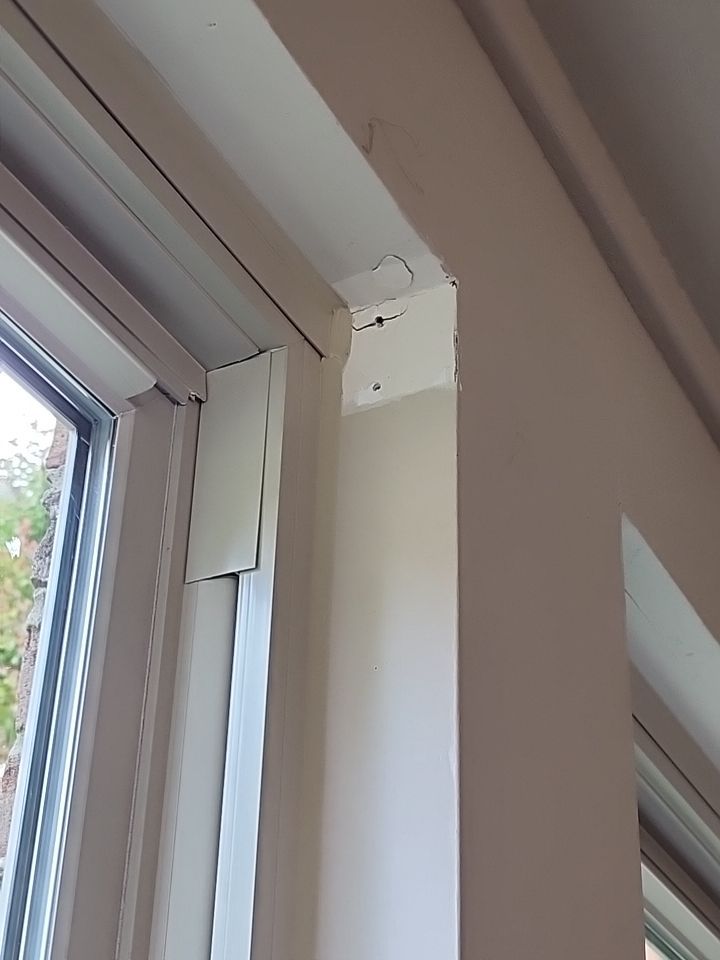 Roof and Windows! by Tamlin Roofing