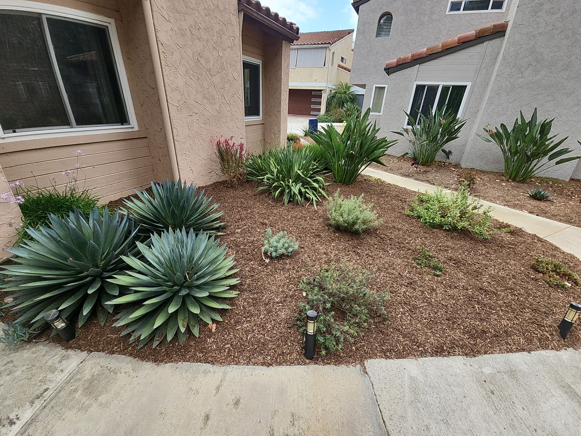 San Diego Residential Landscape Refresh With Succulents and Wood Mulch by Yard Techs