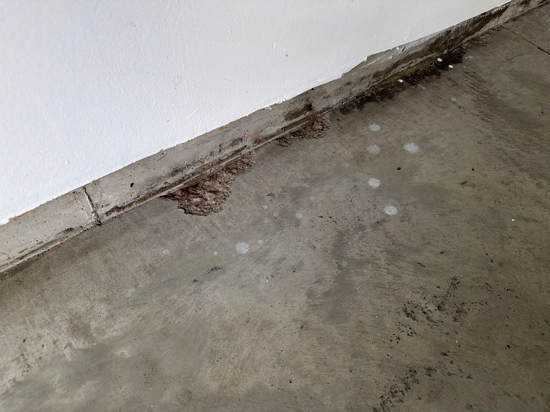 Coyote Garage Floor Coating in Sioux Falls by Select Painting, Coatings & Garage Cabinets