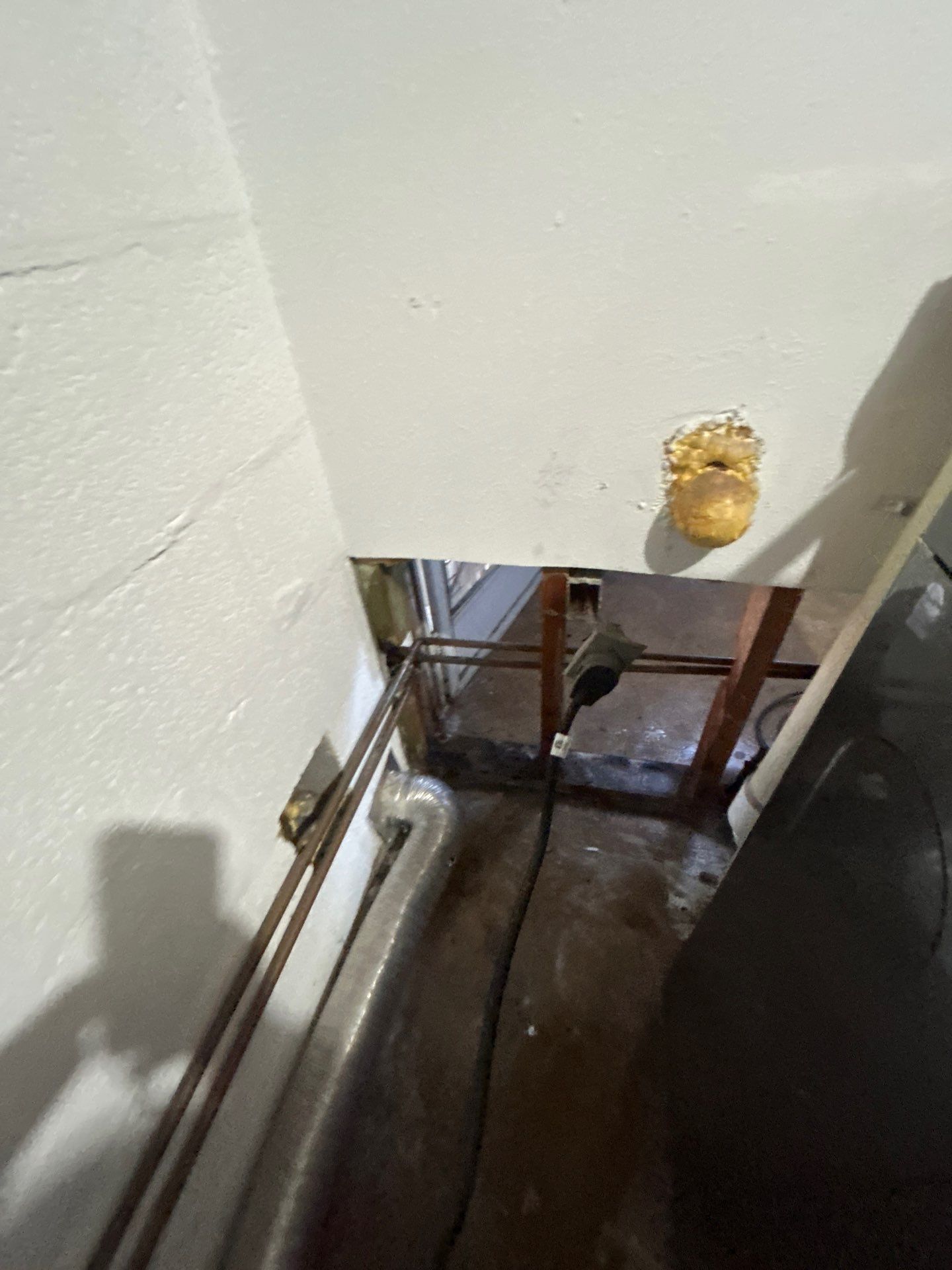 Mold Removal In Bradenton FL  by Ampm Restoration Services 