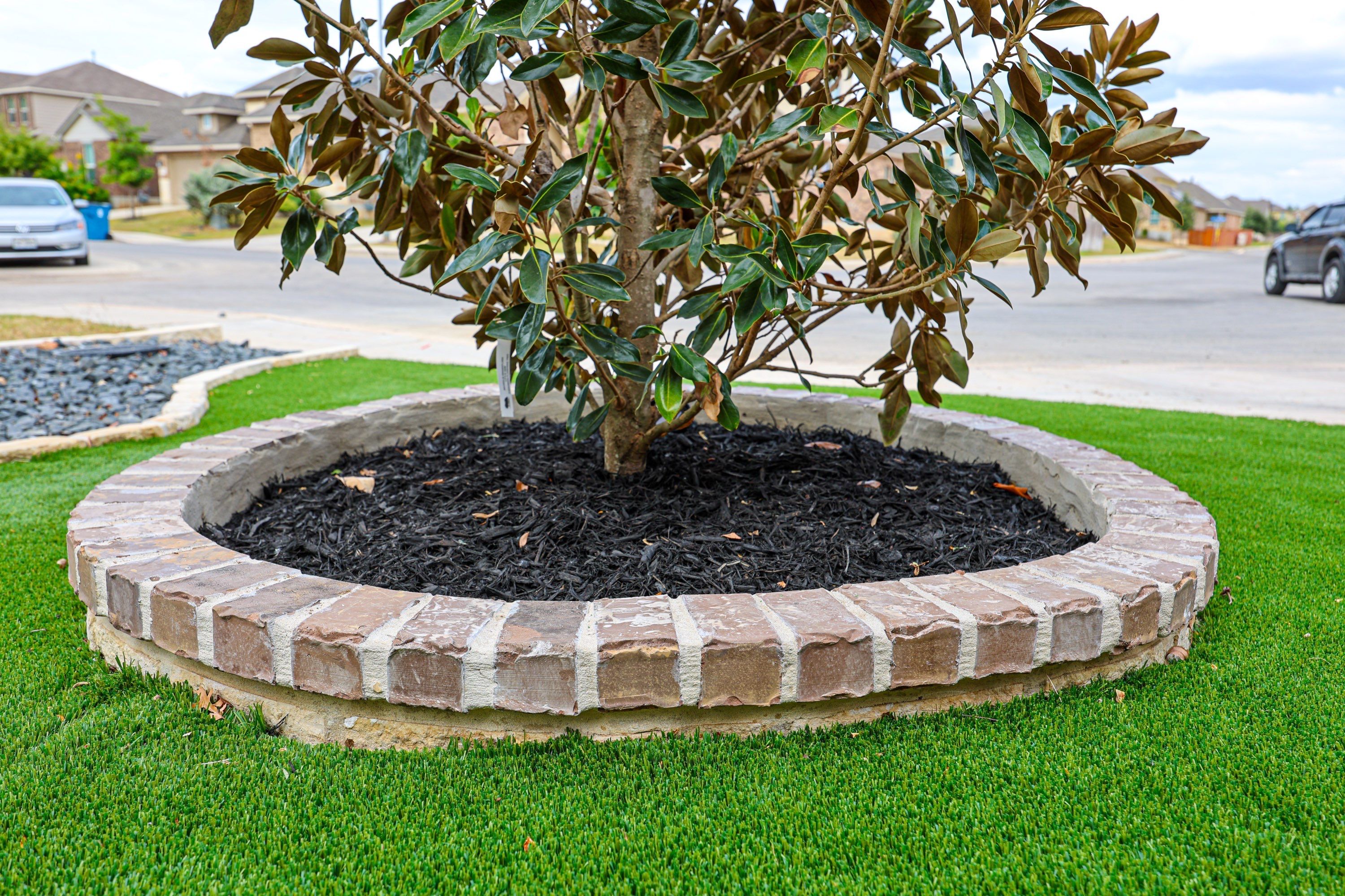 Wortham Oaks - San Antonio, TX by Hole In One Lawns, LLC