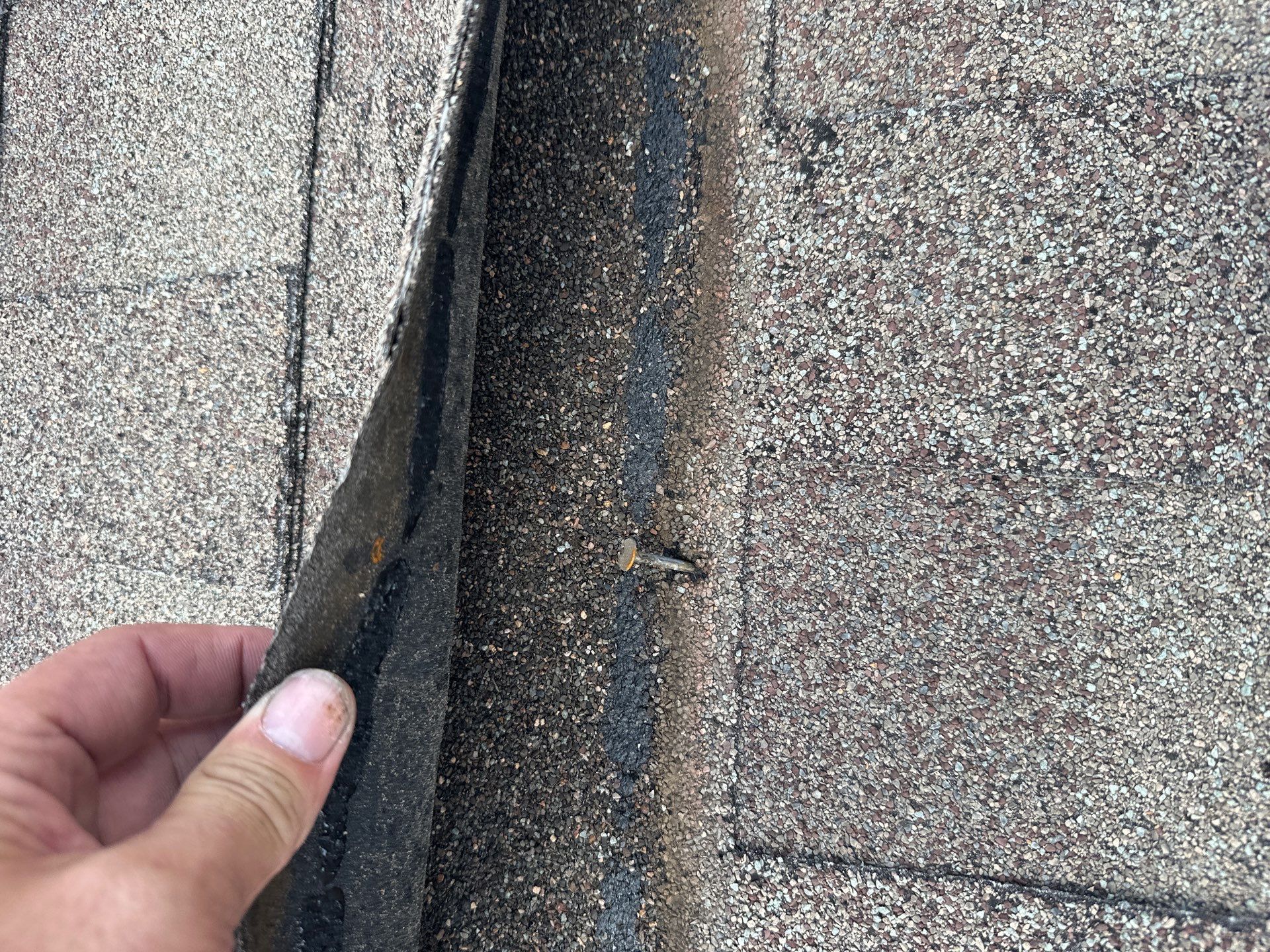 Roof Damage  by Zeus Exteriors