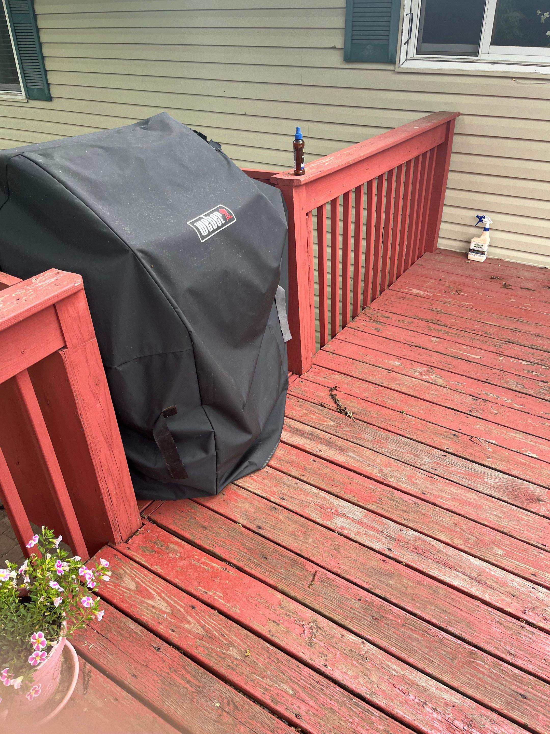 Repaint Deck - Minnetonka, MN by Gassen Construction and Maintenance