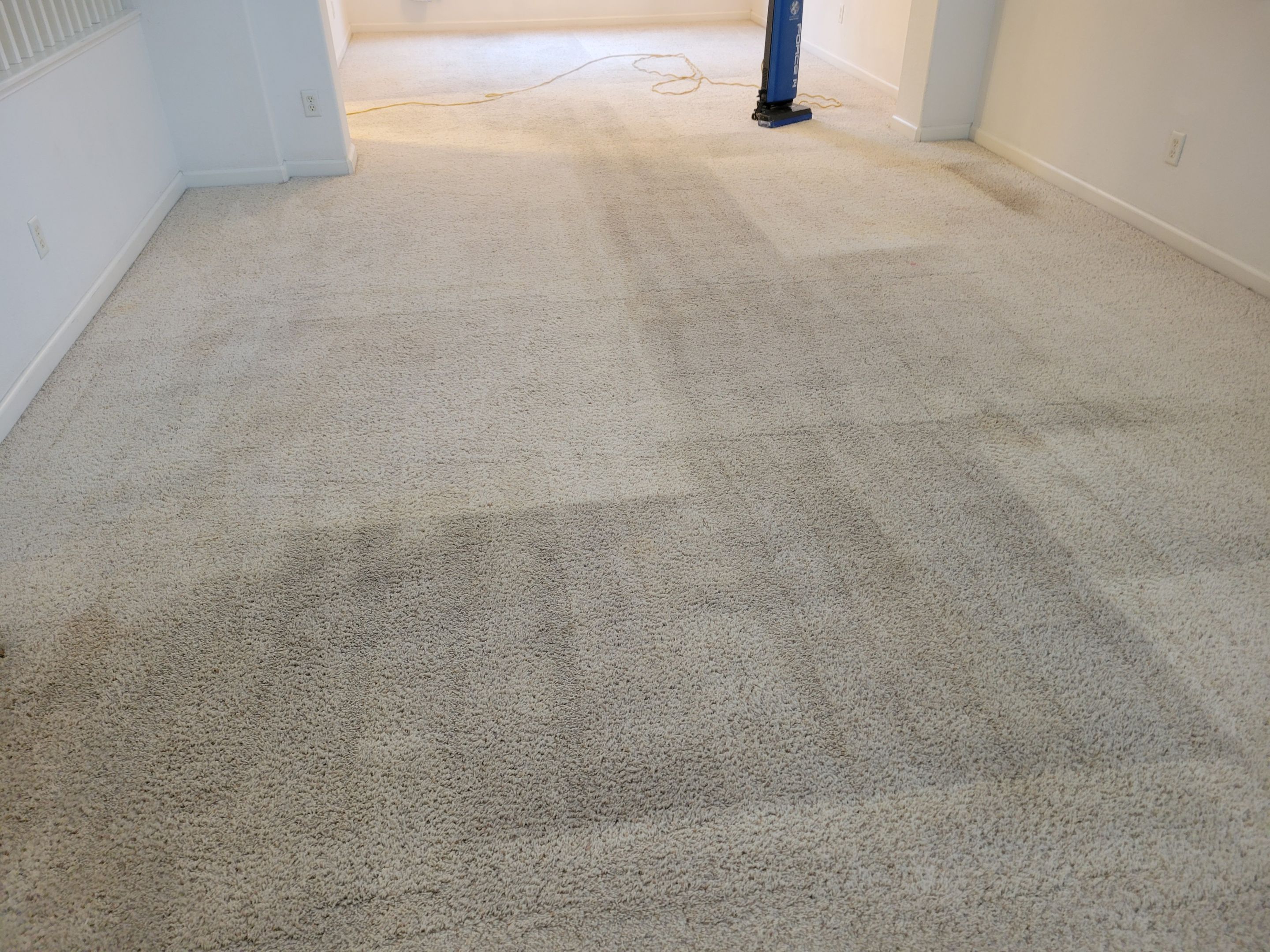 Traffic Carpet Fiber Abrasions, Cleaning by Ardent Carpet Restore LLC