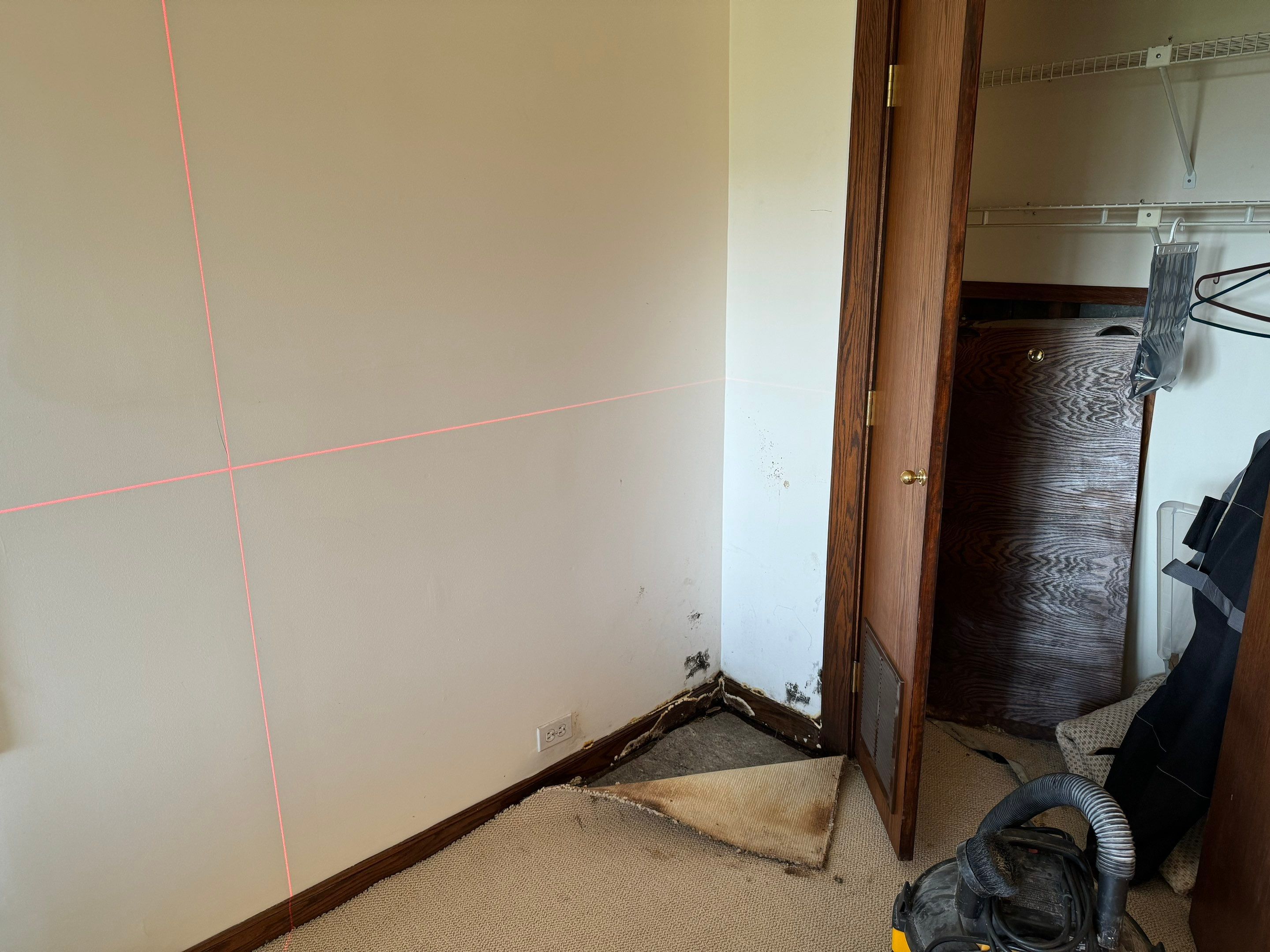 Major Basement Remediation / Restoration by Home Guarantee, LLC
