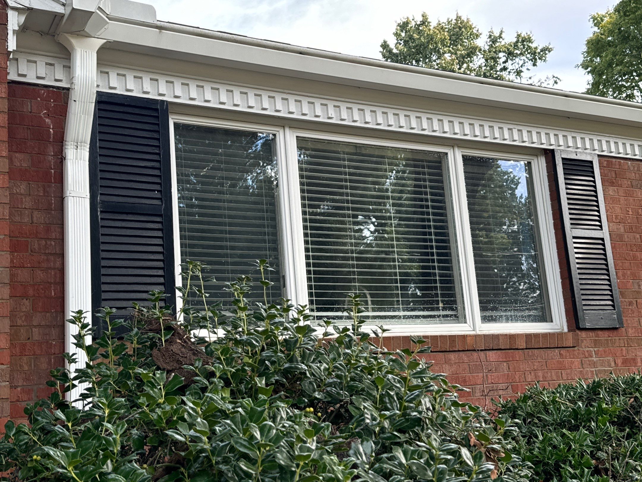 the service being done is cleaning the exterior surfaces including the window frames shutters and surrounding brick walls