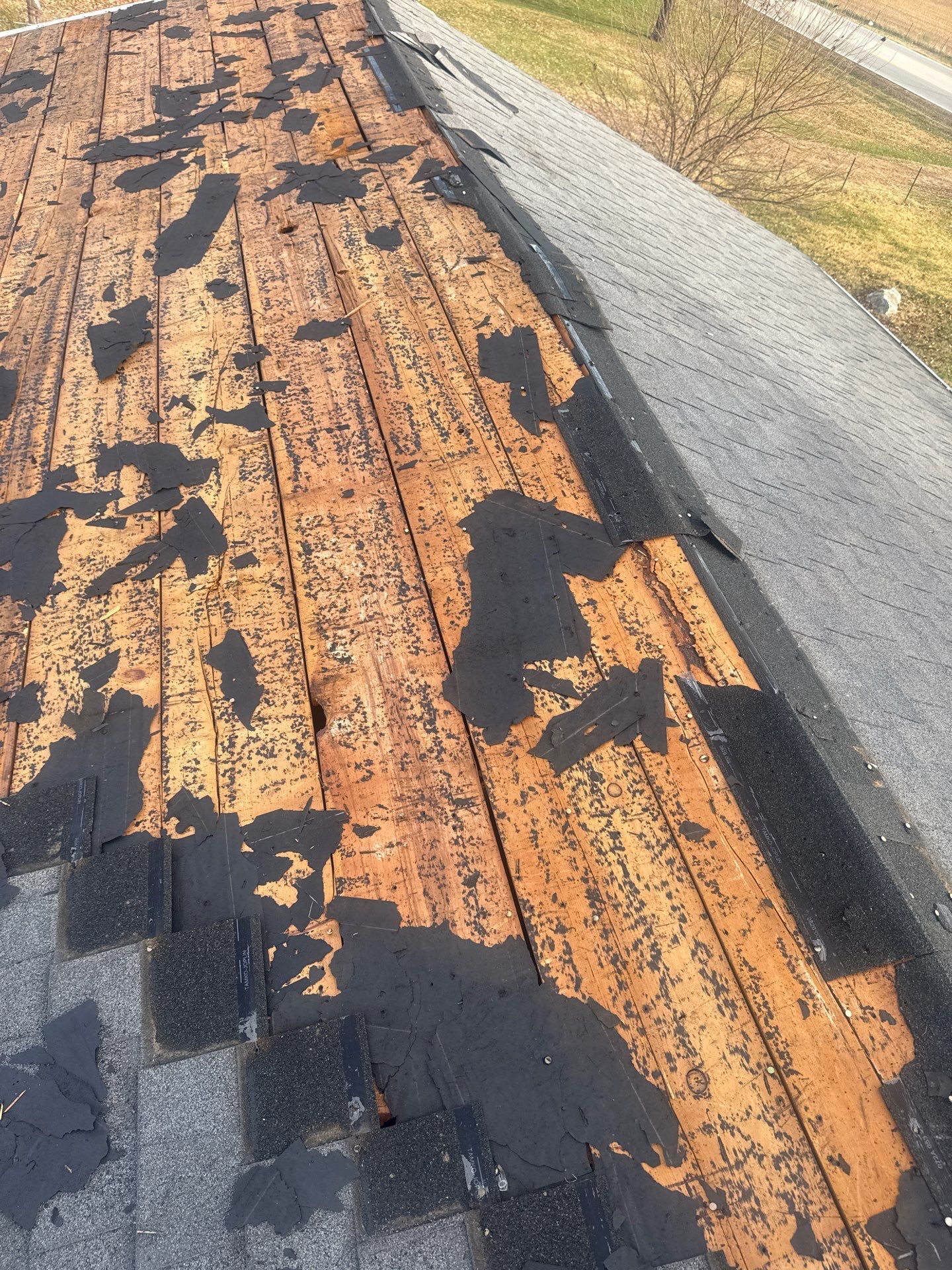 Residential Roofing + Gutters & Downspouts Install  by Titan Commercial & Residential Roofing 