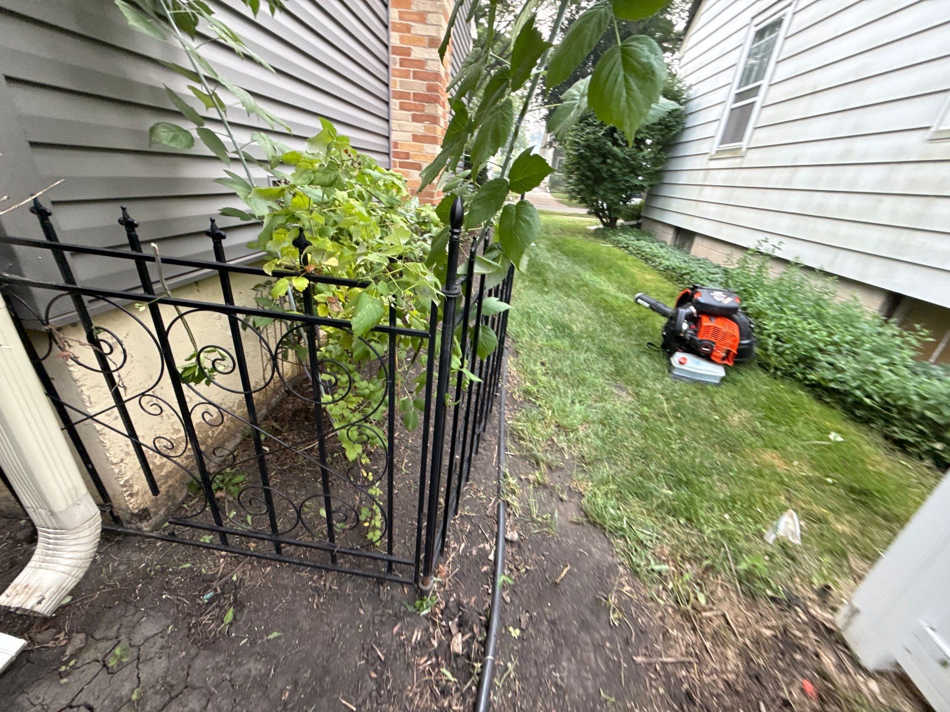 Donna L. - Arlington Heights, IL by A&N