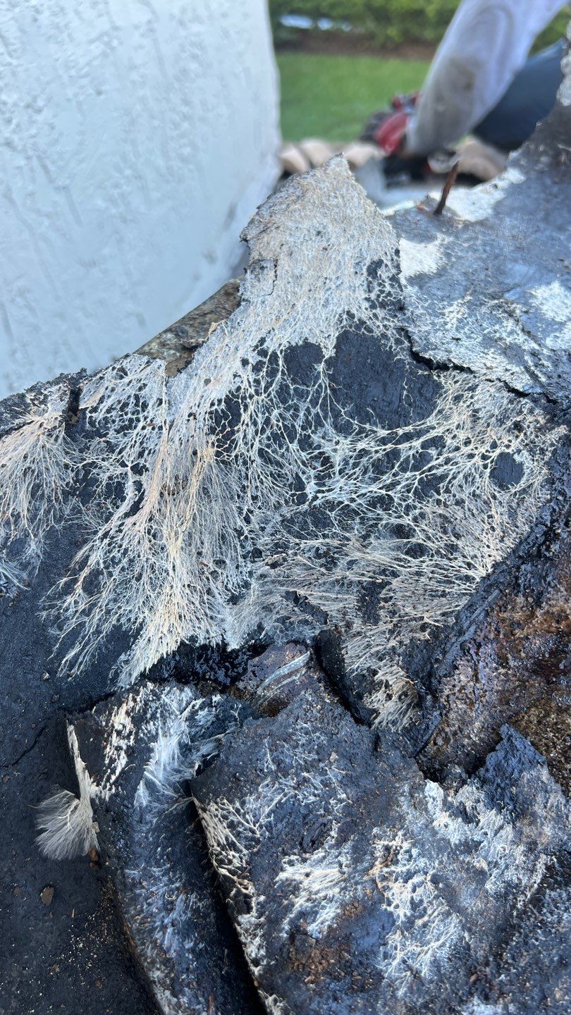 SW 26th St., Davie, FL by G&J Roofing 