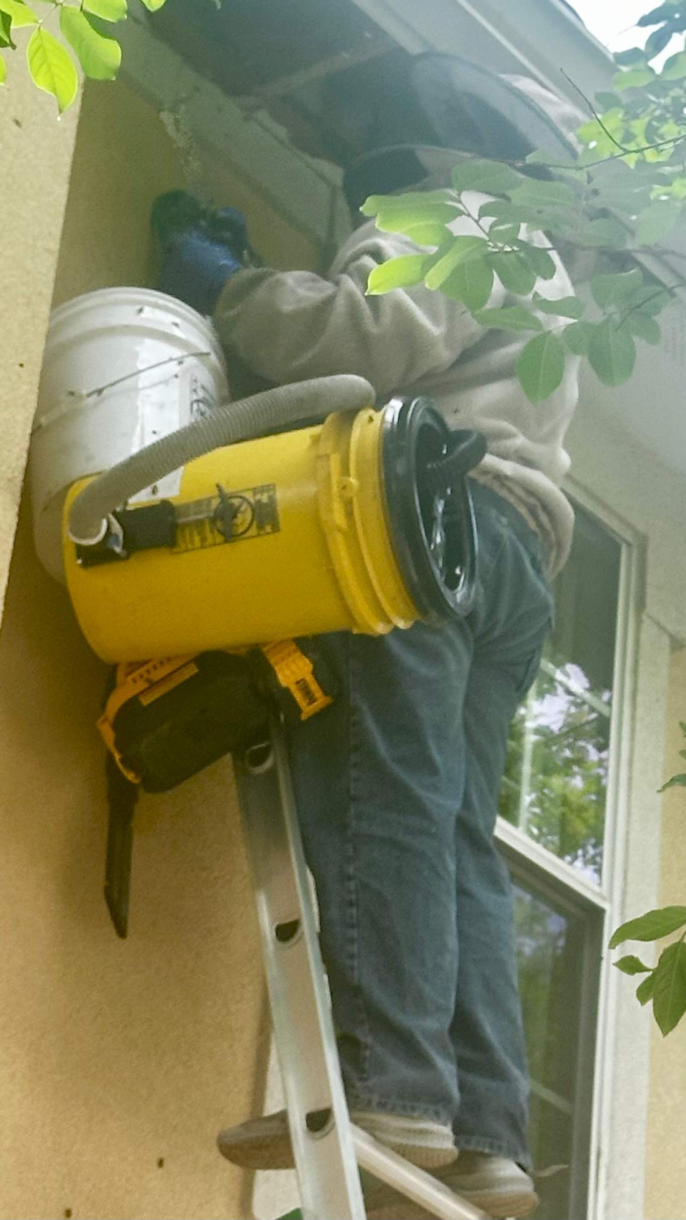 Beloved by Rockwall Honey Bee Company