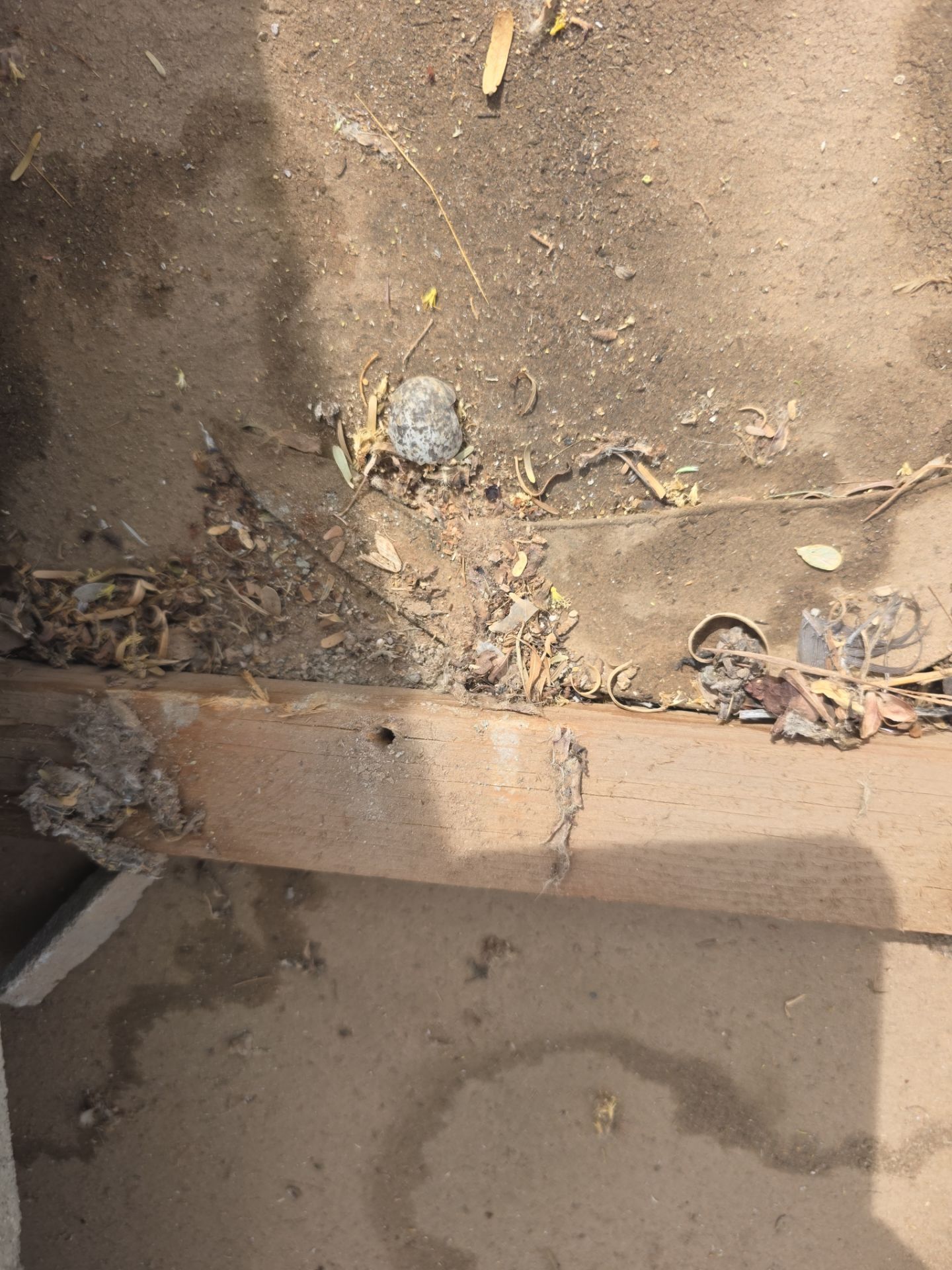 Tile reset in Gold Canyon, AZ by Weather-Tite Roofing