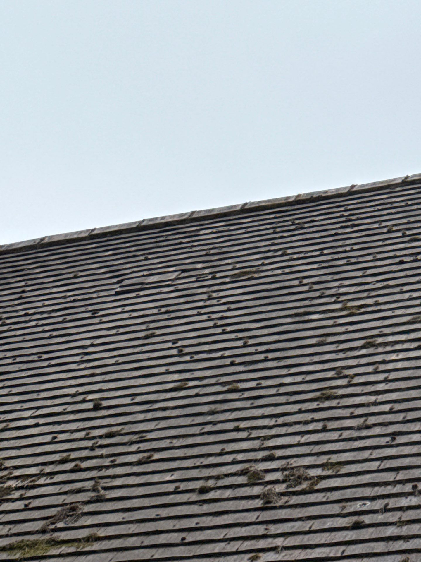 Roof Cleaning and Biocide Treatment using Softwash Equipment by Ges Exterior Cleaning ltd