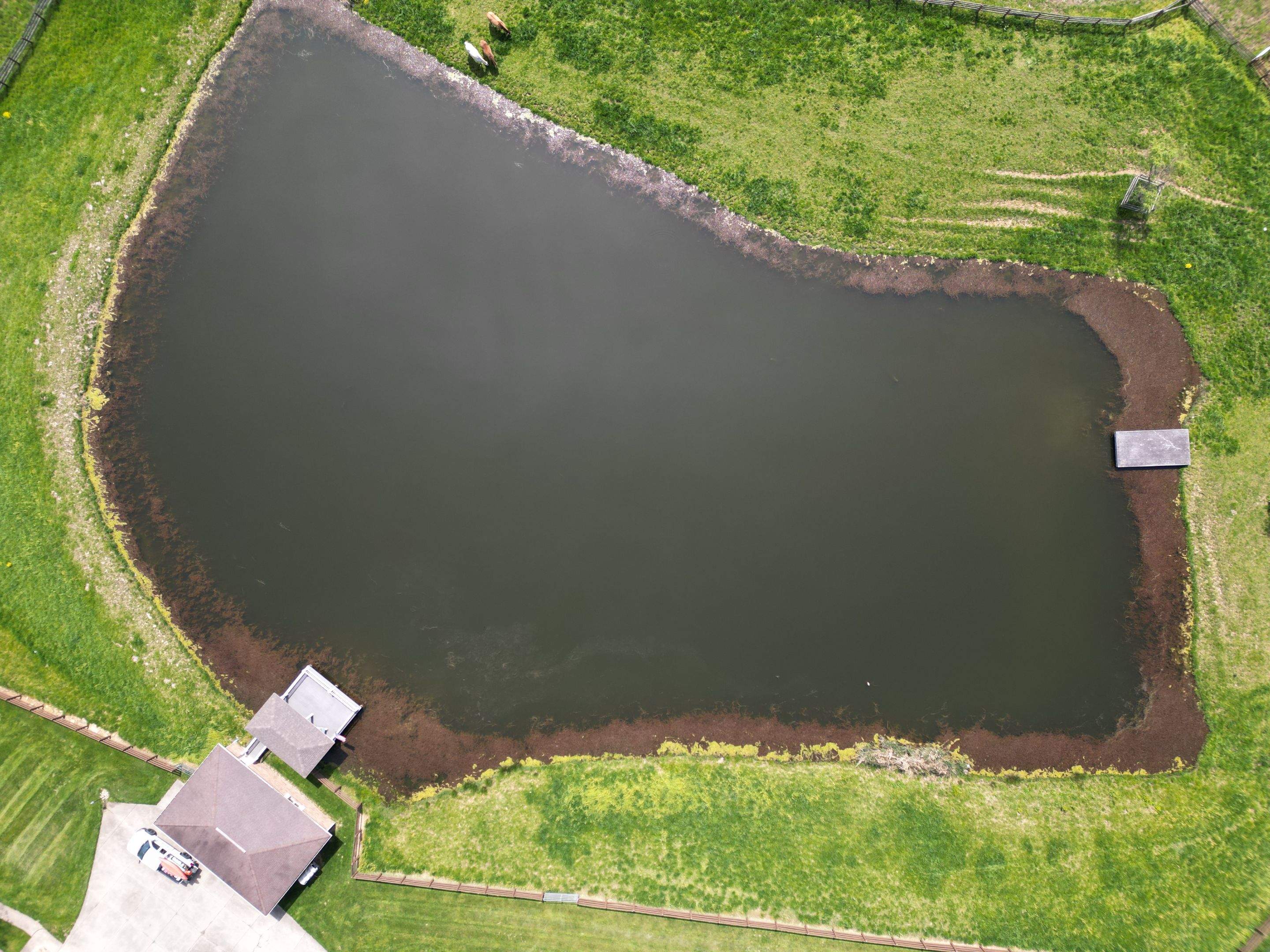 Maas Project by  Bellus Aquatic Solutions