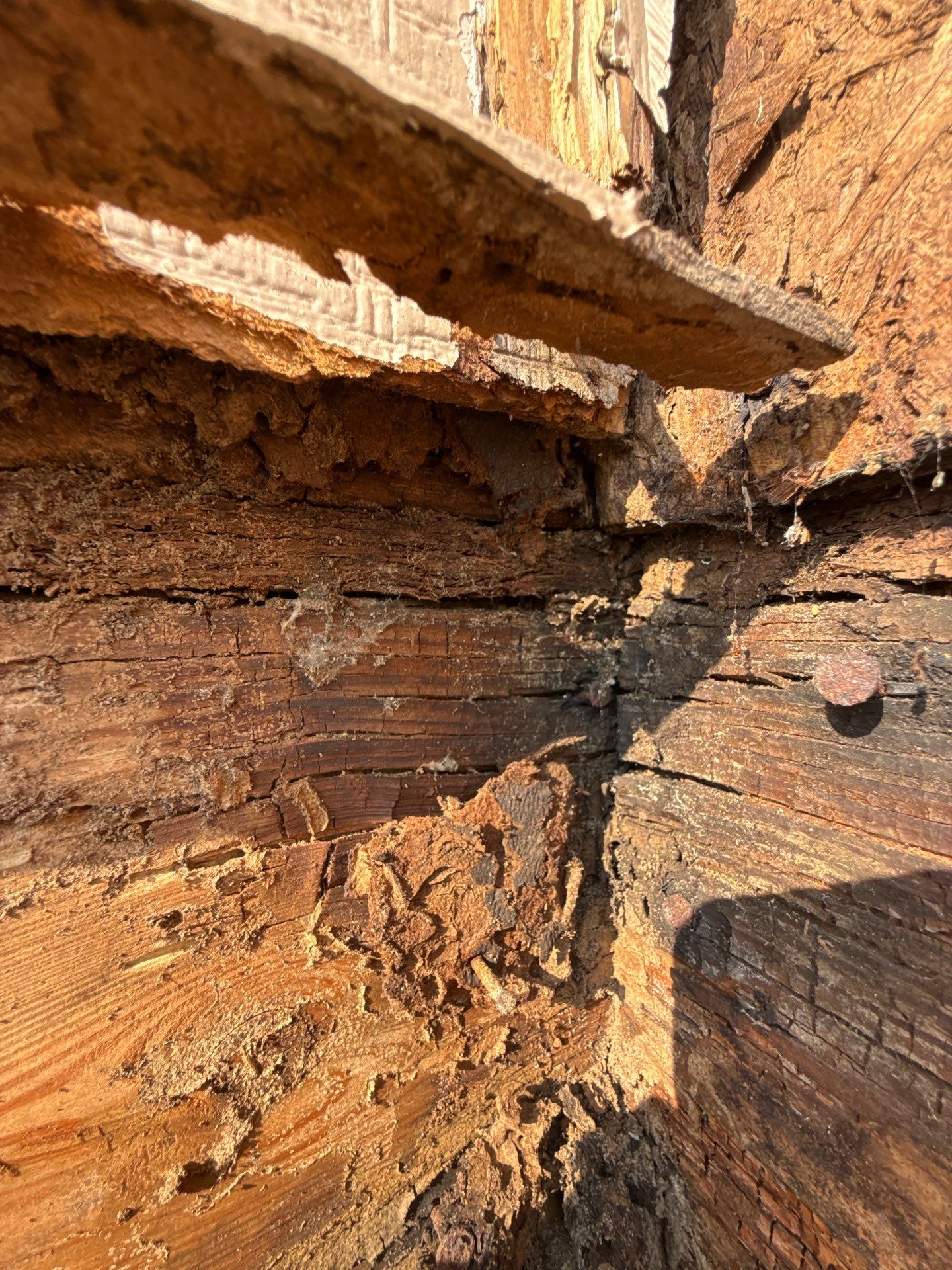 Rot Repair  by Karcher Roofing & Construction