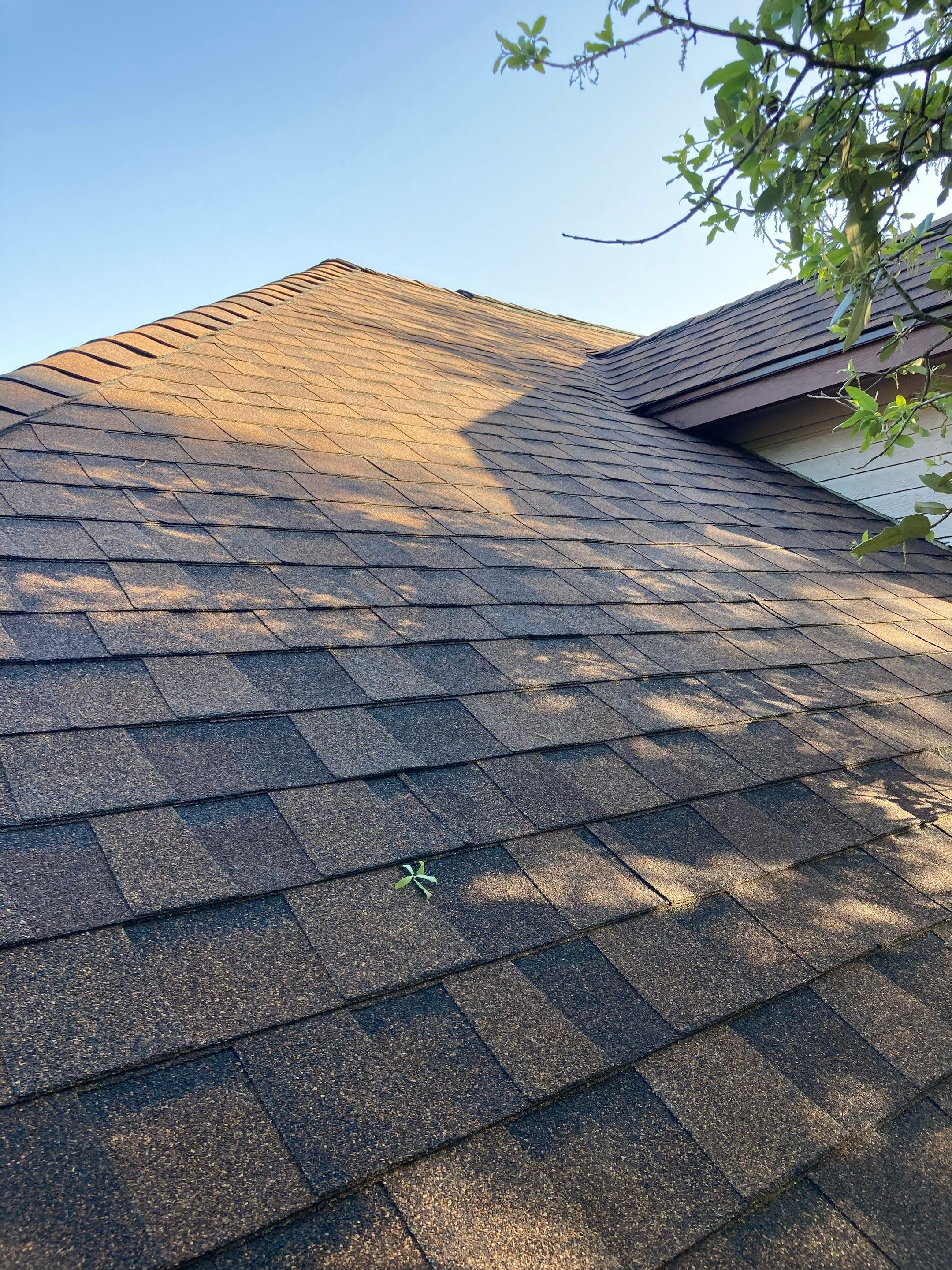 Project in New Braunfels by Rhino Roofing and General Contracting, LLC