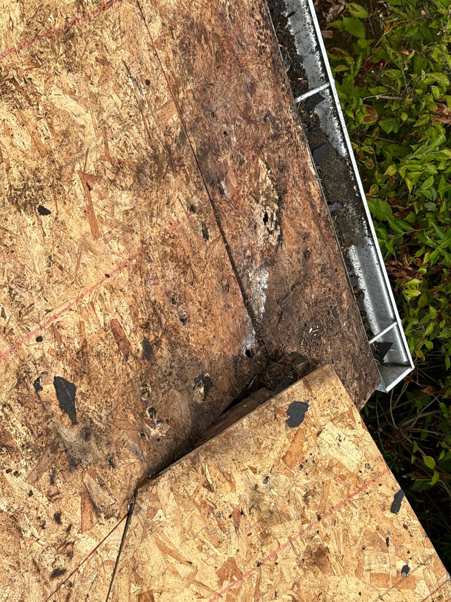 Project in Portland by Tom Leach Roofing
