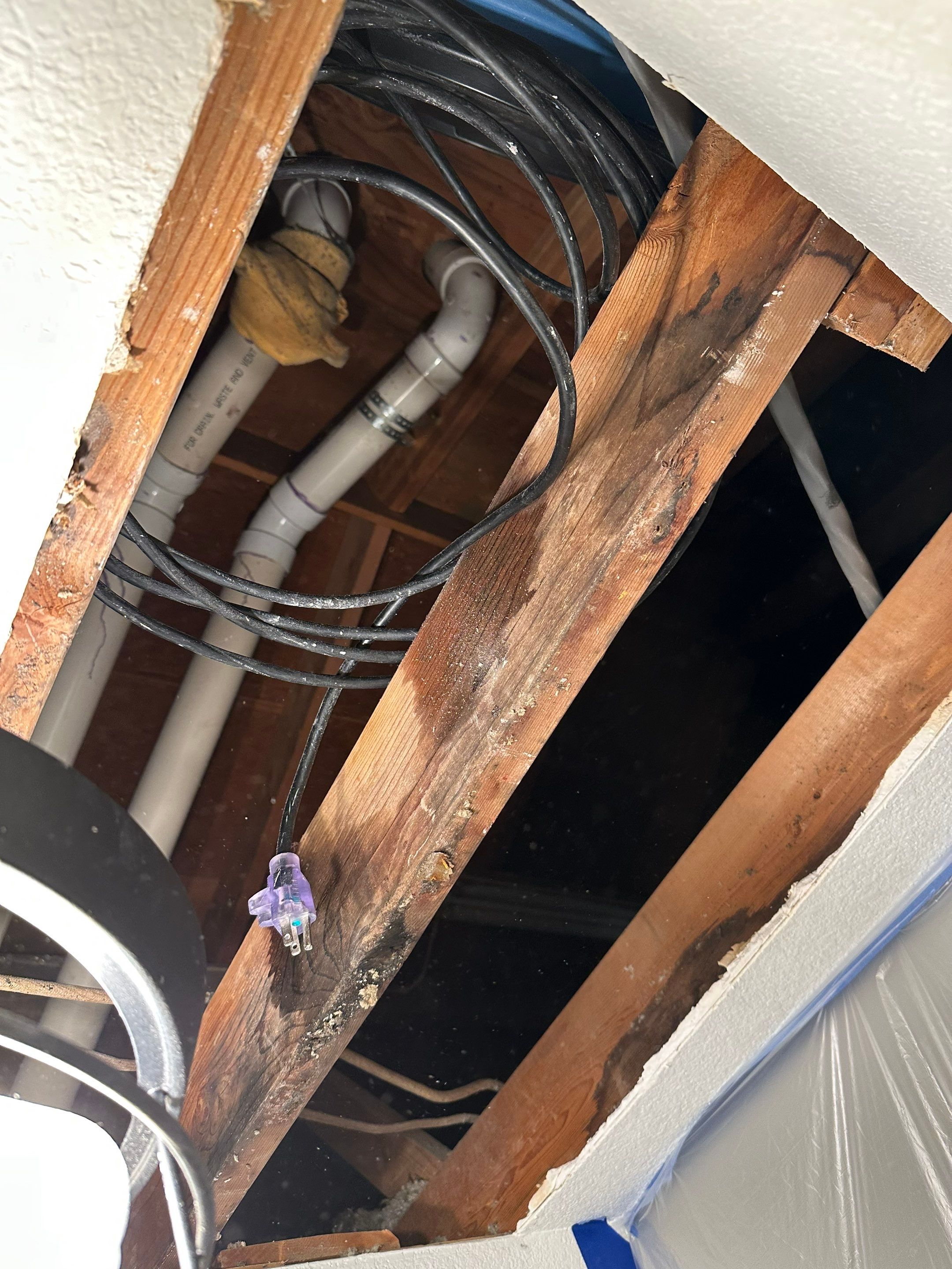 Mold in Crawl Space in Broomfiled, CO by Alpha Restoration 