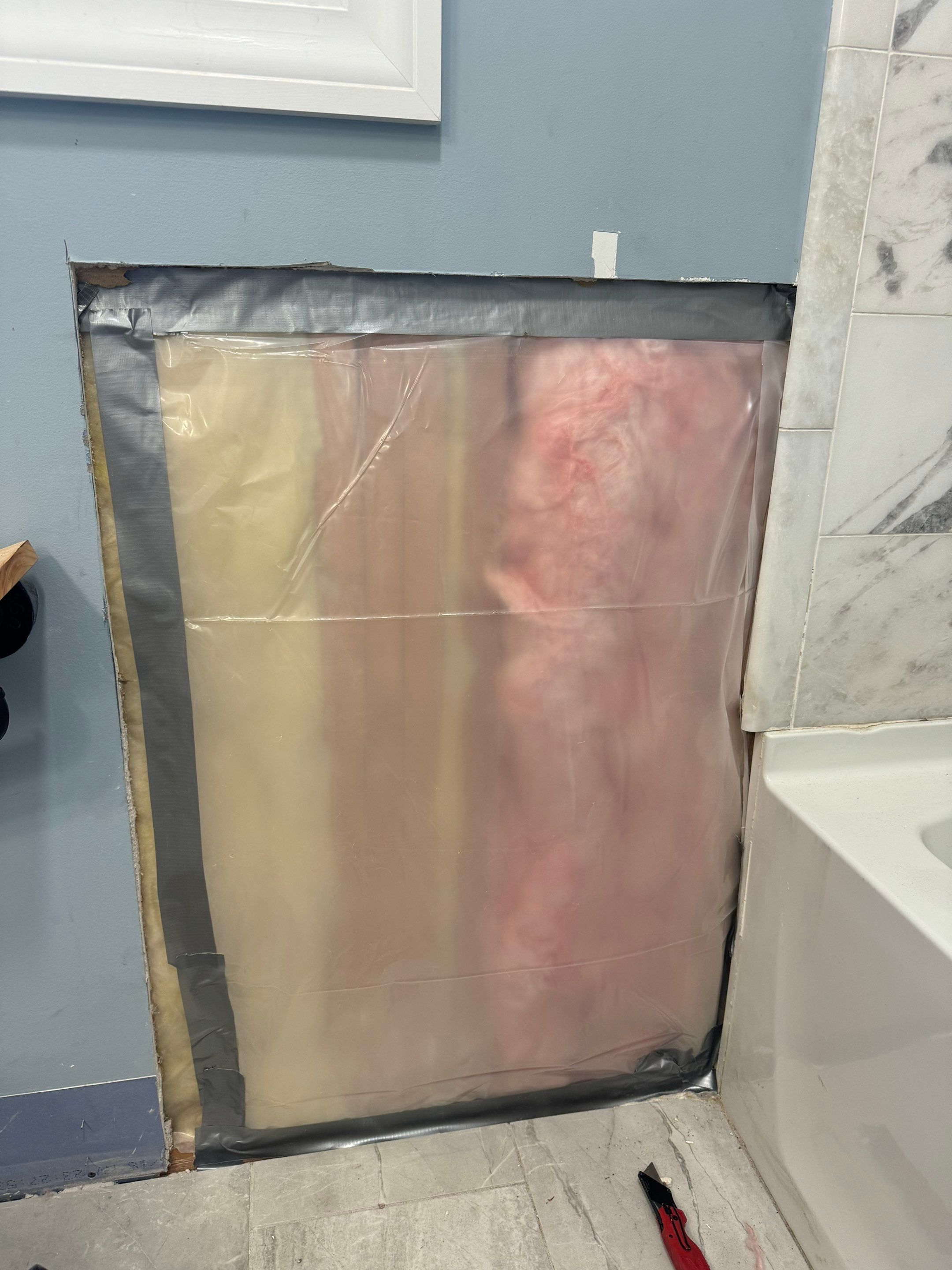 Bathroom Mold Remediation by Home Guarantee, LLC