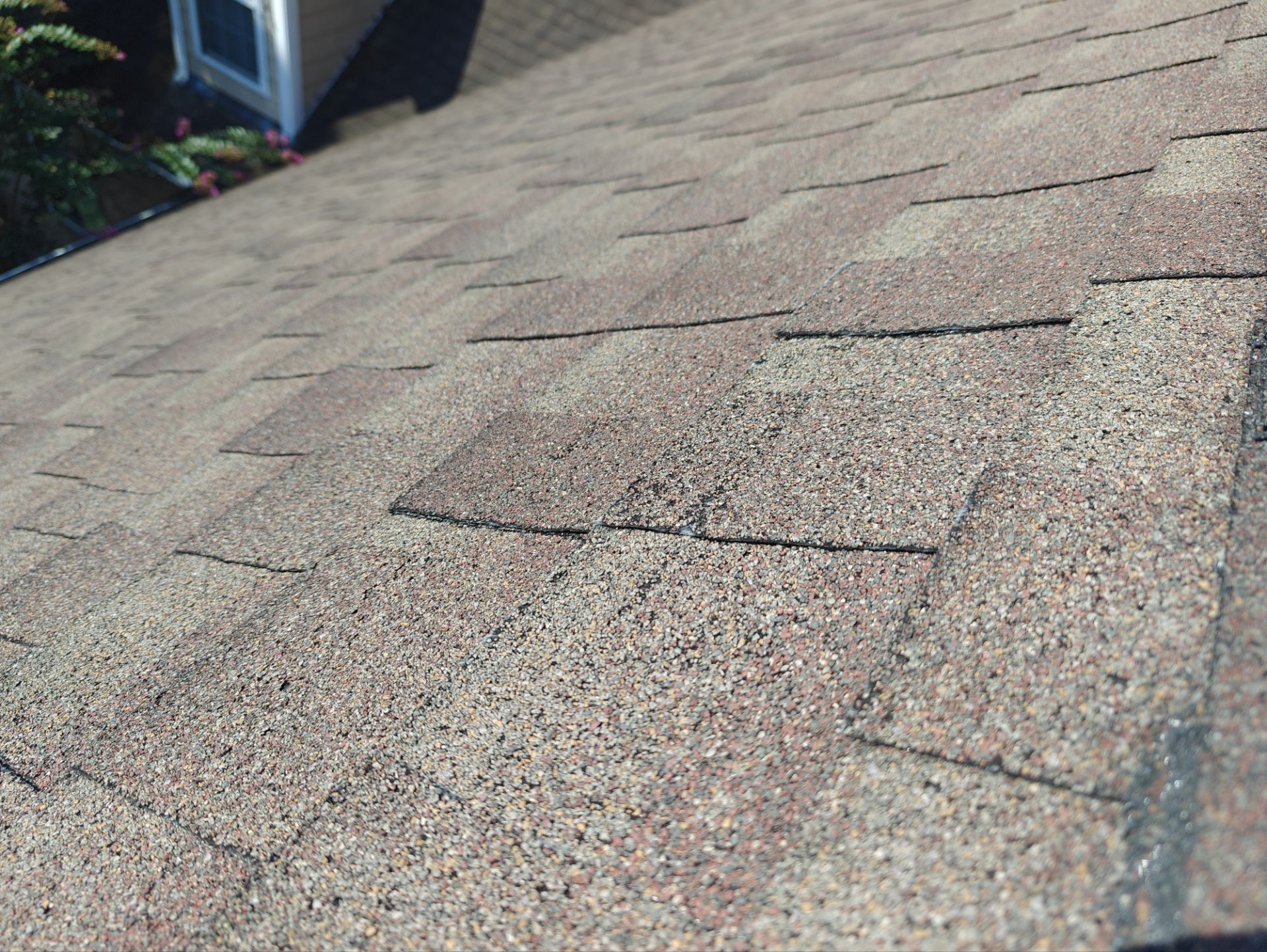 Grandiflora by Breeze Roofing Inc