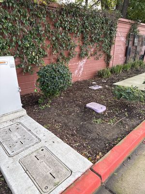 Project in Pittsburg