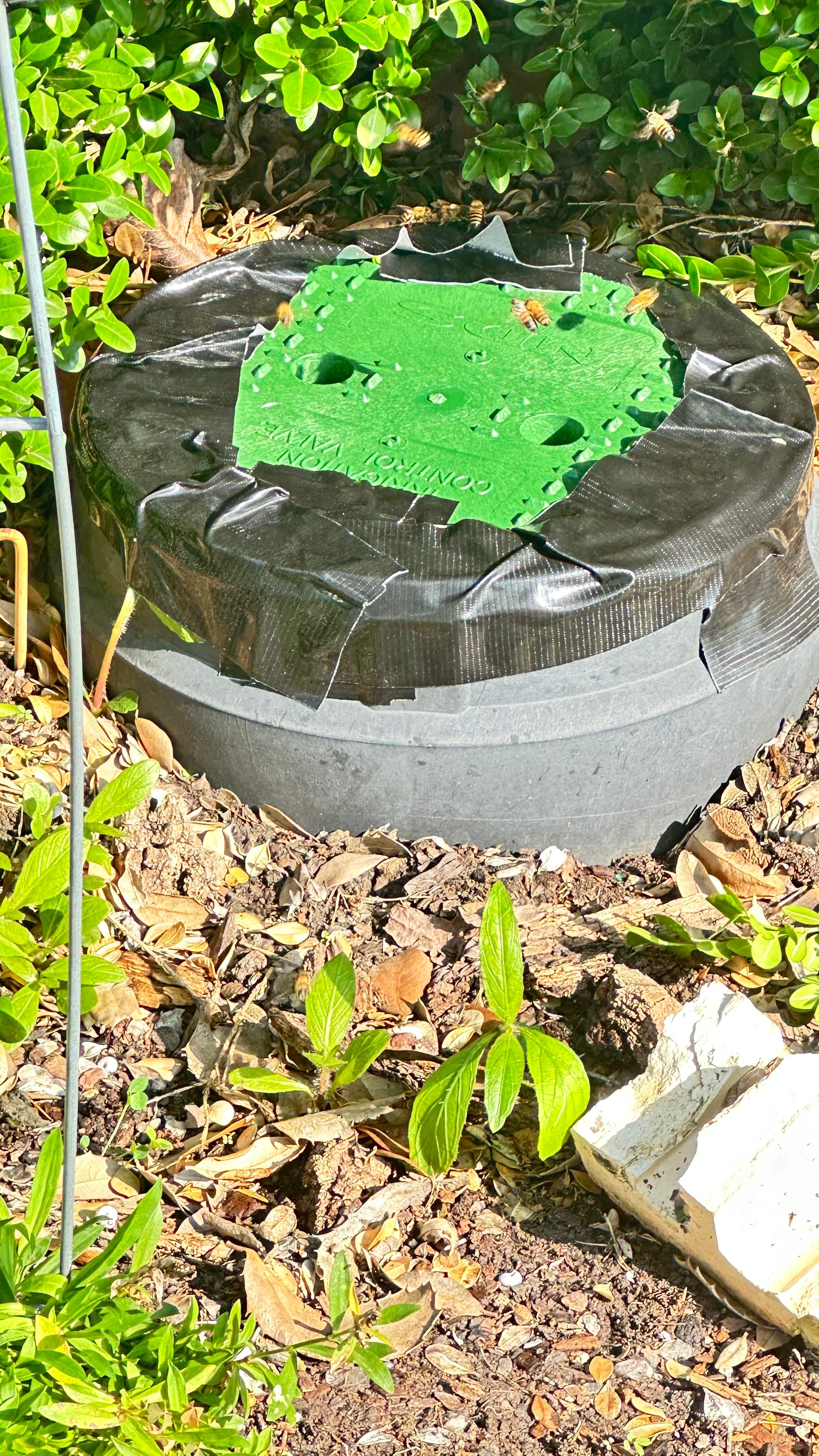 Irrigation Box by Rockwall Honey Bee Company