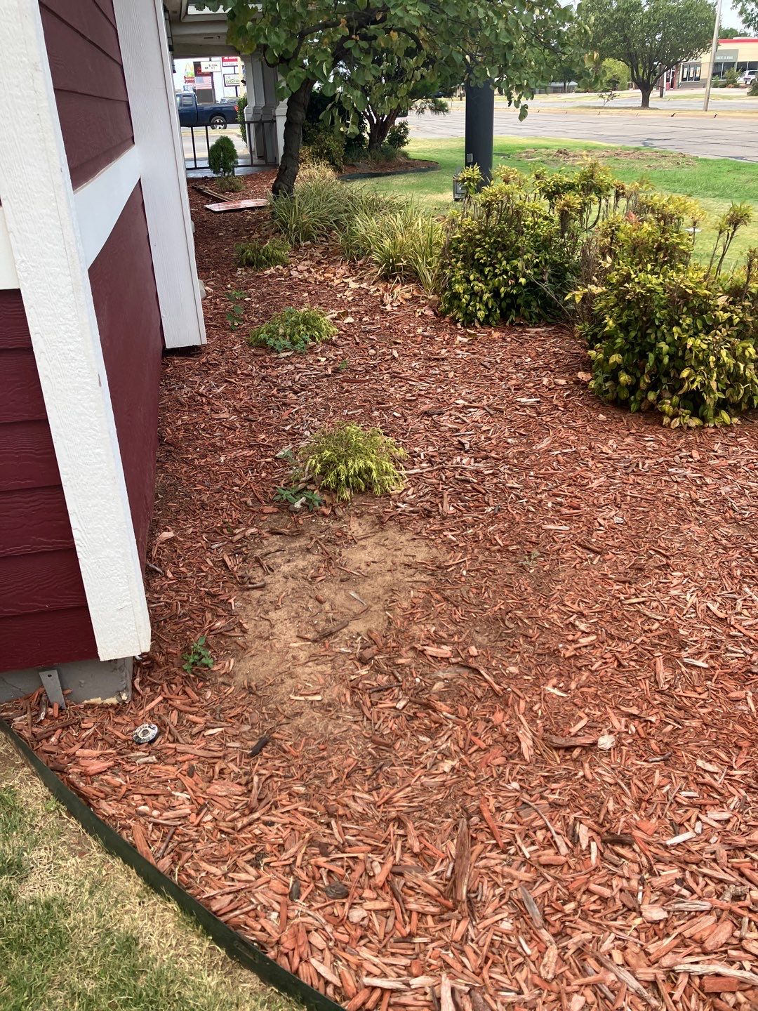 Mulch Replacement using Grade A Cedar by Clays Services Inc