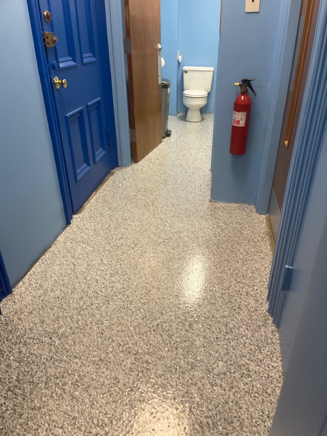 Cat Hospital Project in Pittsburgh by Floors in a Day, Inc