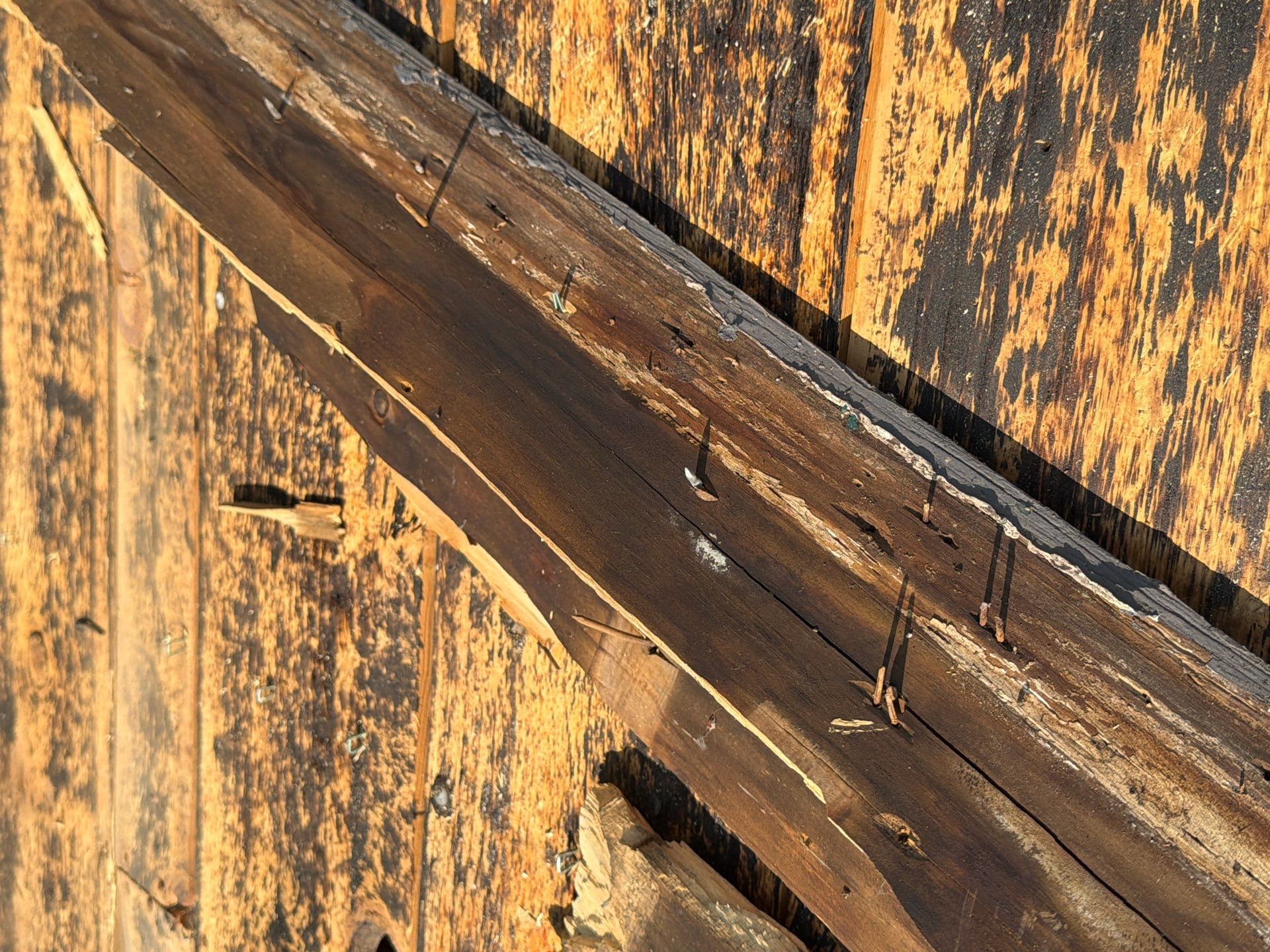 Boise Residential Roof Replacement Featuring Grey Architectural Shingles by Olive Roofing