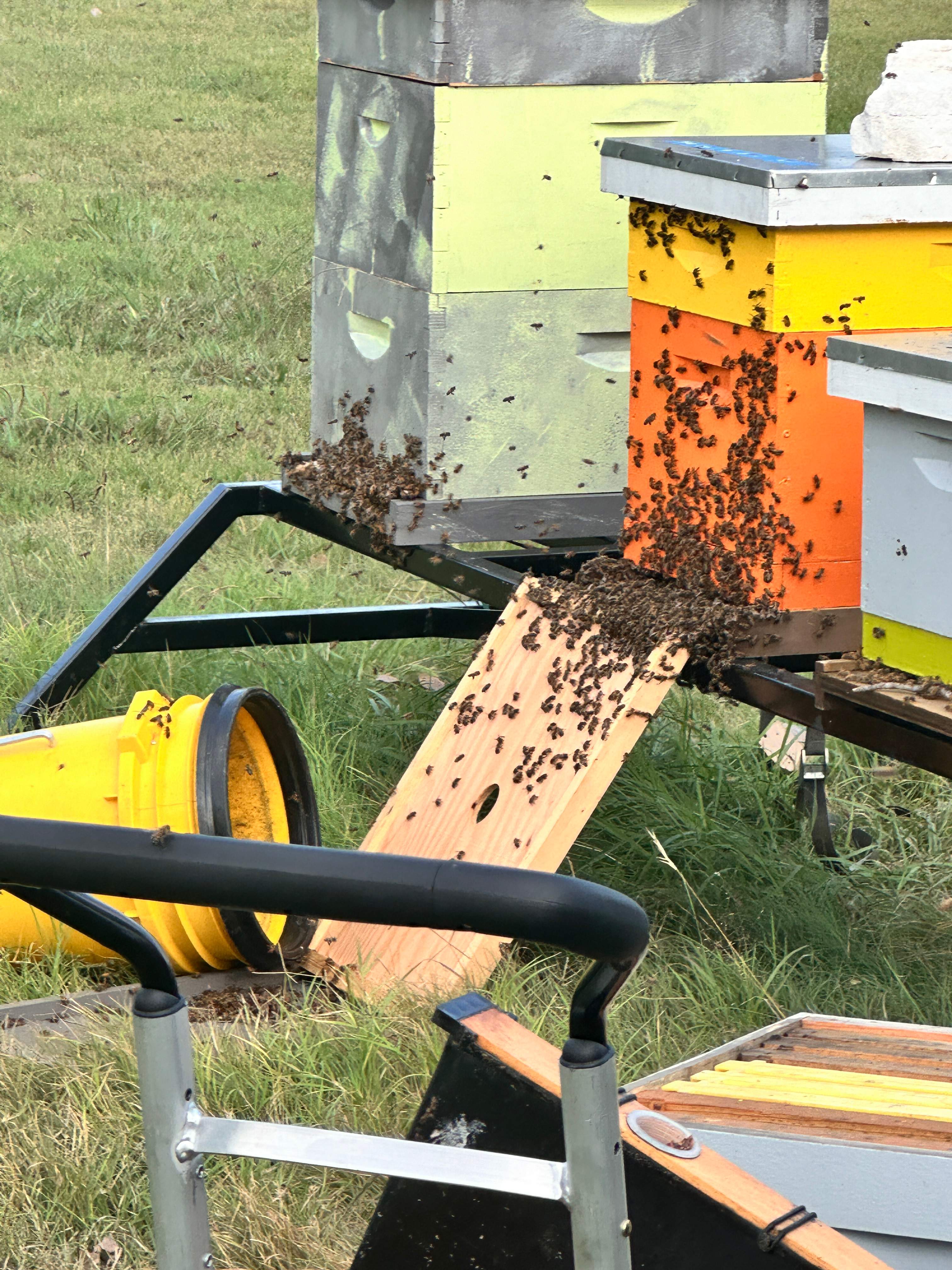 Motorcycle Garage by Rockwall Honey Bee Company
