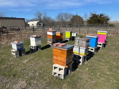 Bees for Ag. Exemption in Rockwall
