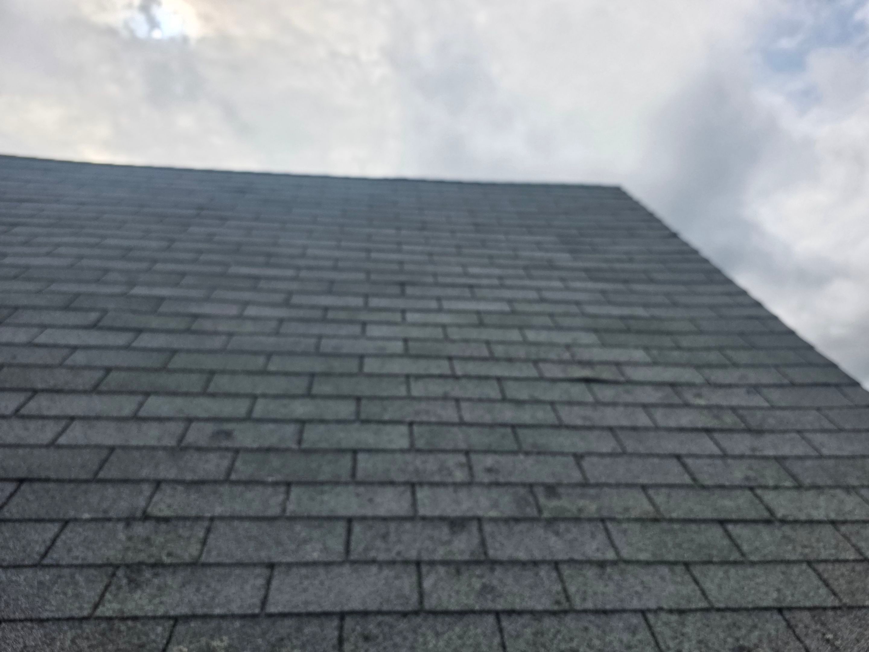 Curtis Cove by The B.A.R Roofing