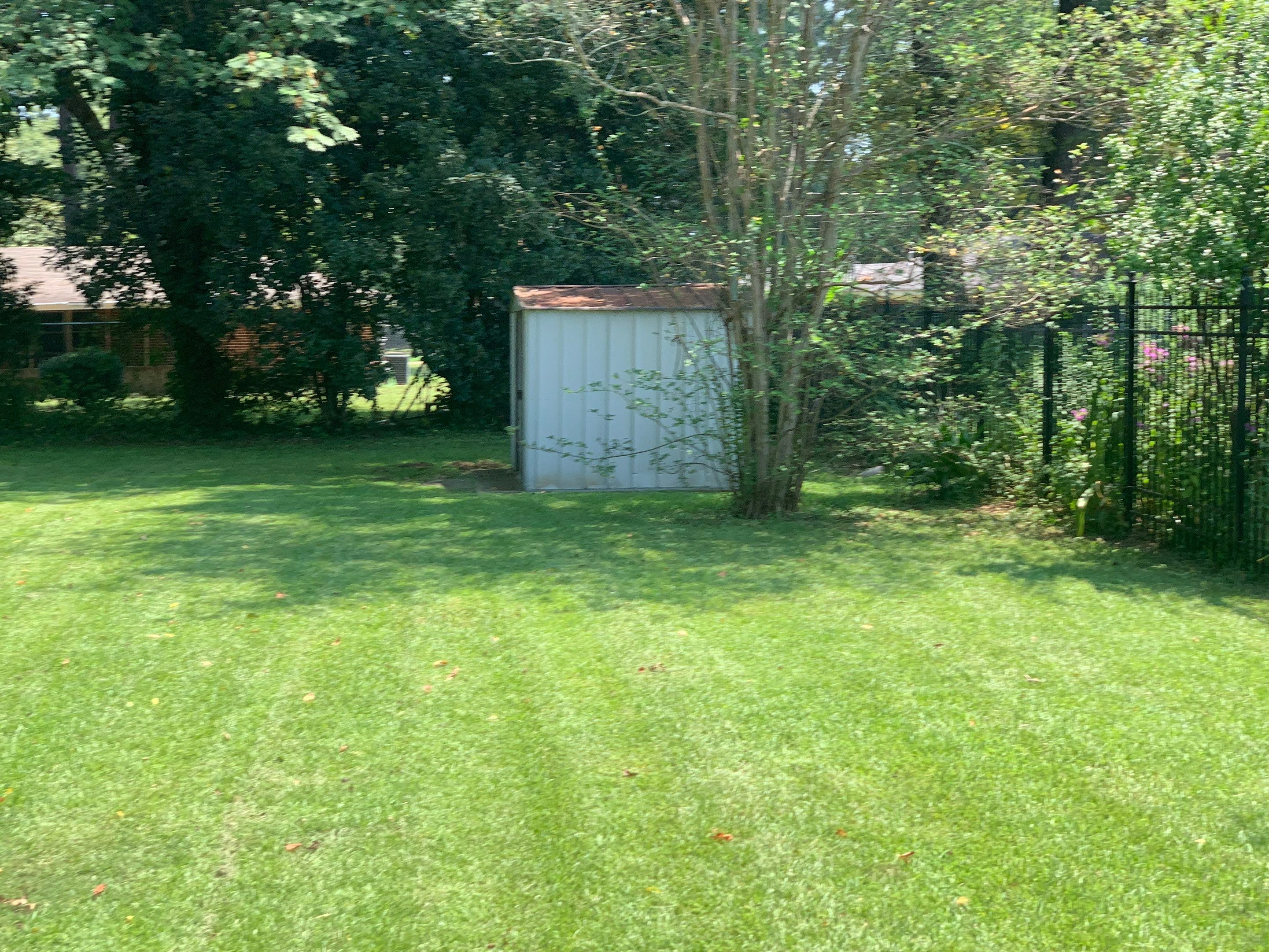 Yard Makeover by College Bros Outdoor services