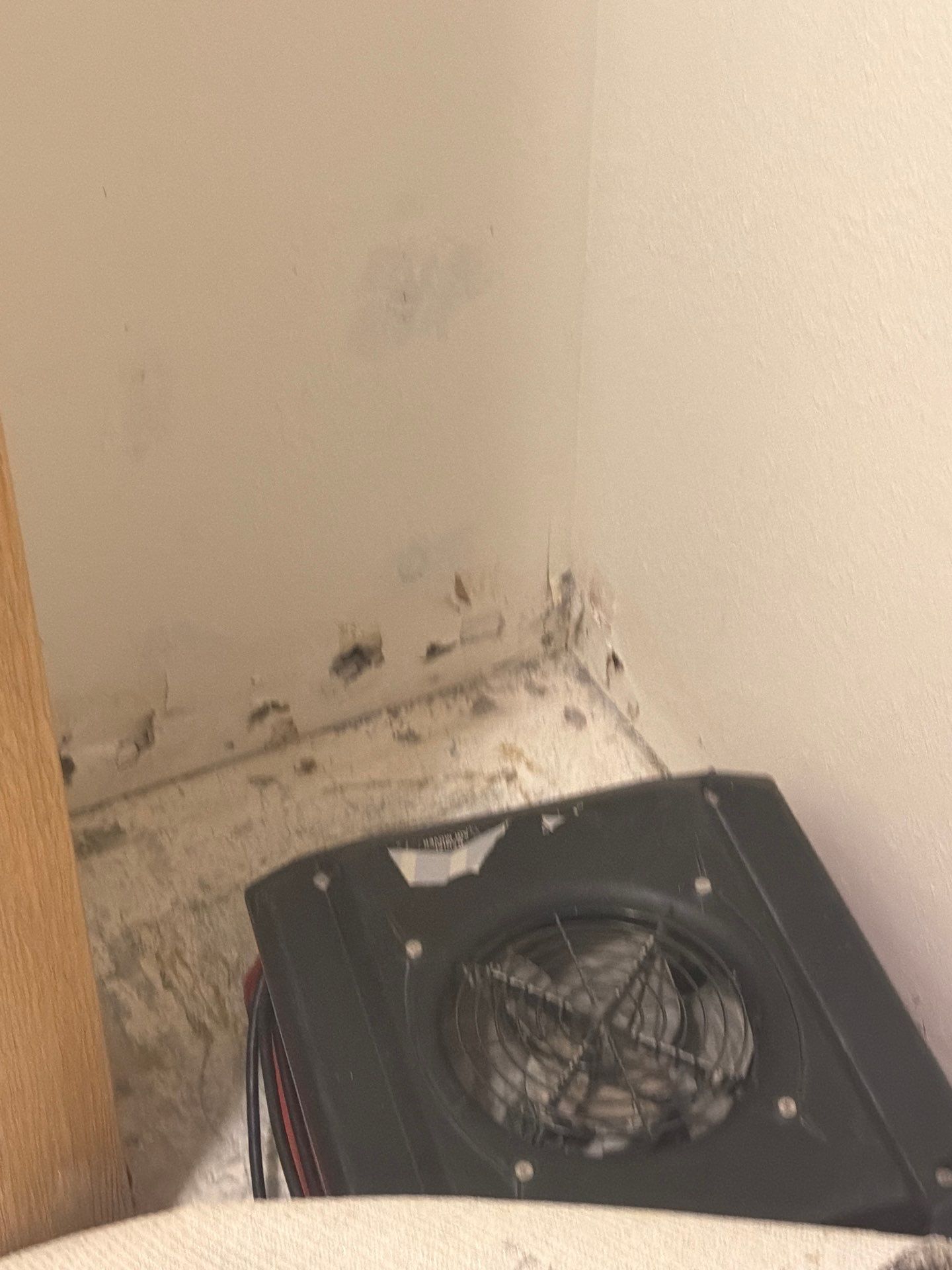 Interior Corner Finishing by OCS Contracting Services