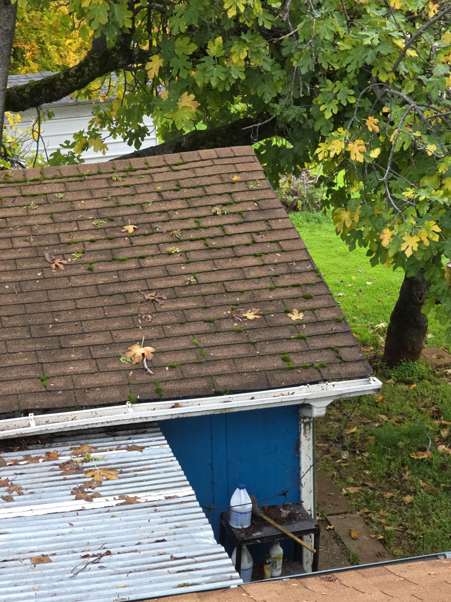 Roof Rejuvenation using Roof Maxx Treatment by Roof Maxx of Folsom