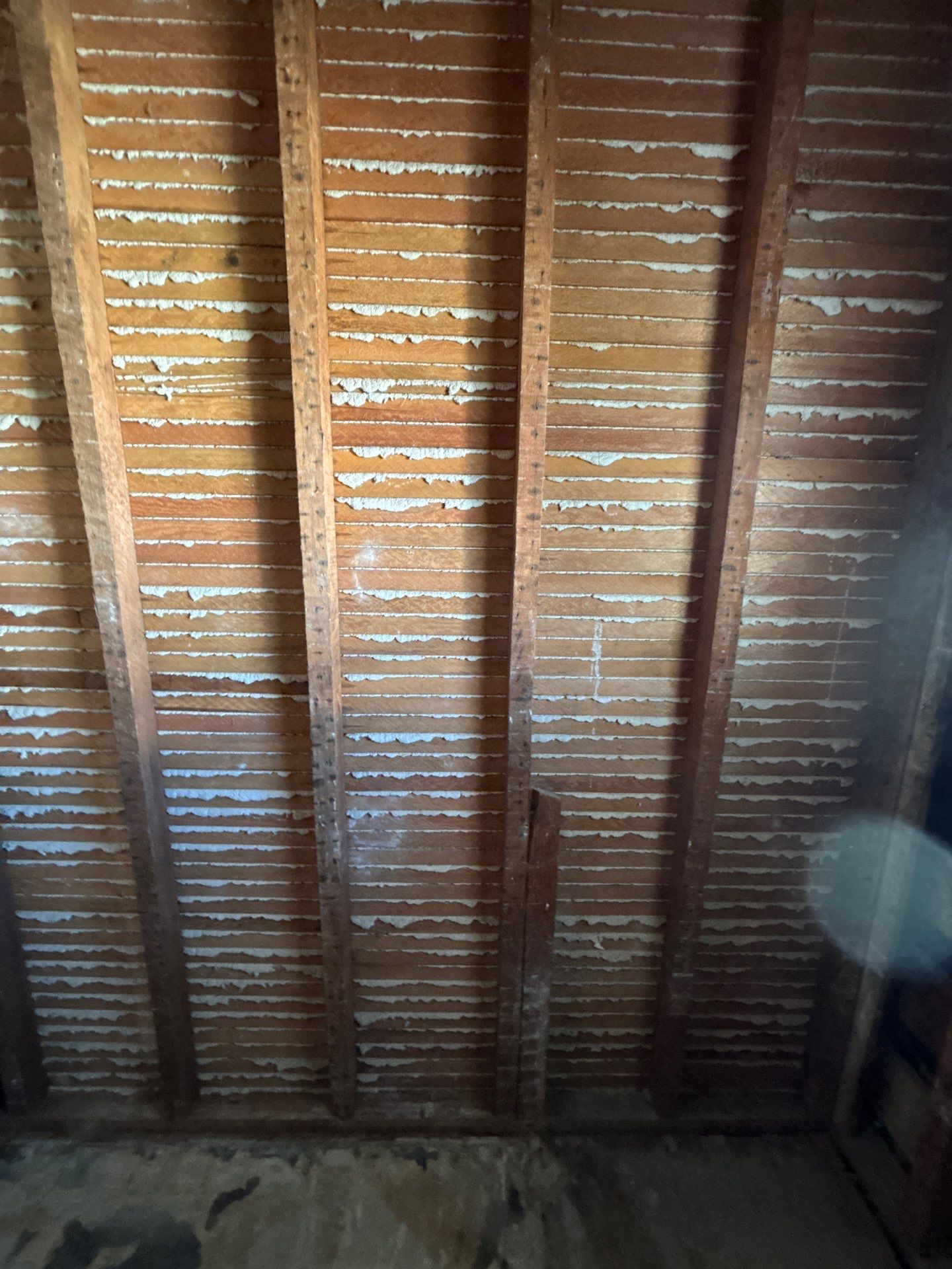 Project in Encinitas by Insulation Labs