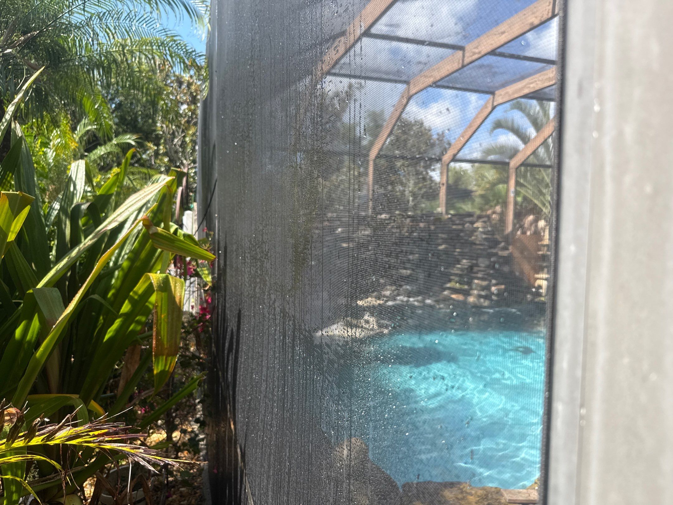 Pool Cage Screen Enclosure Cleaning