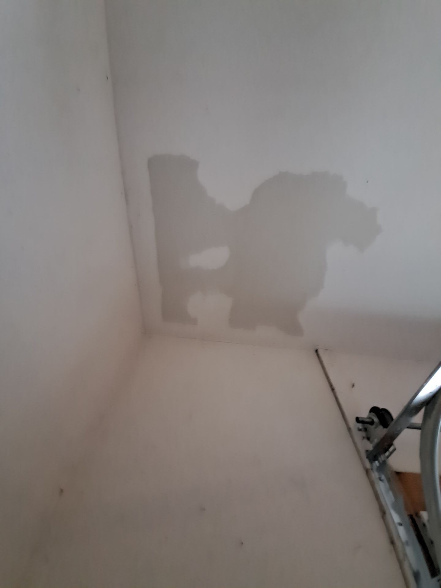 Garage dry wall repair/ re-texture, re-paint by Gordon Painting