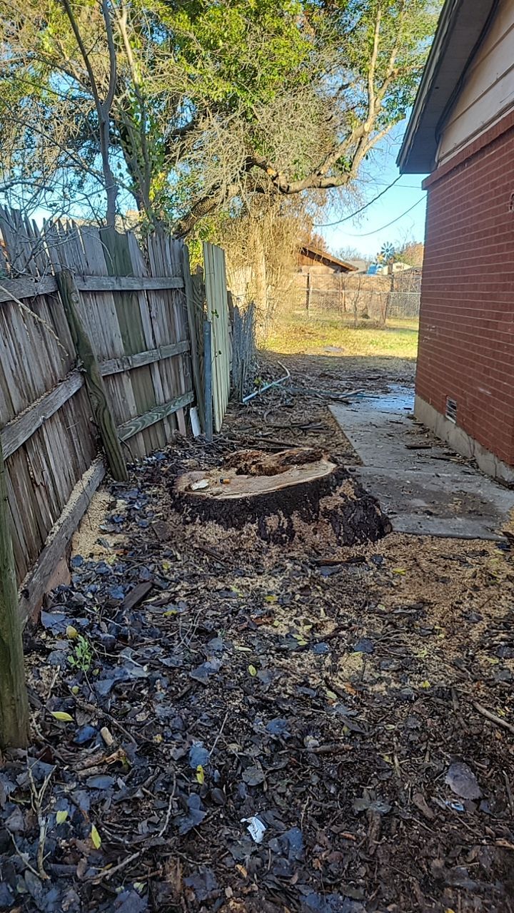 Tree Removal using Chainsaws by Clays Services Inc